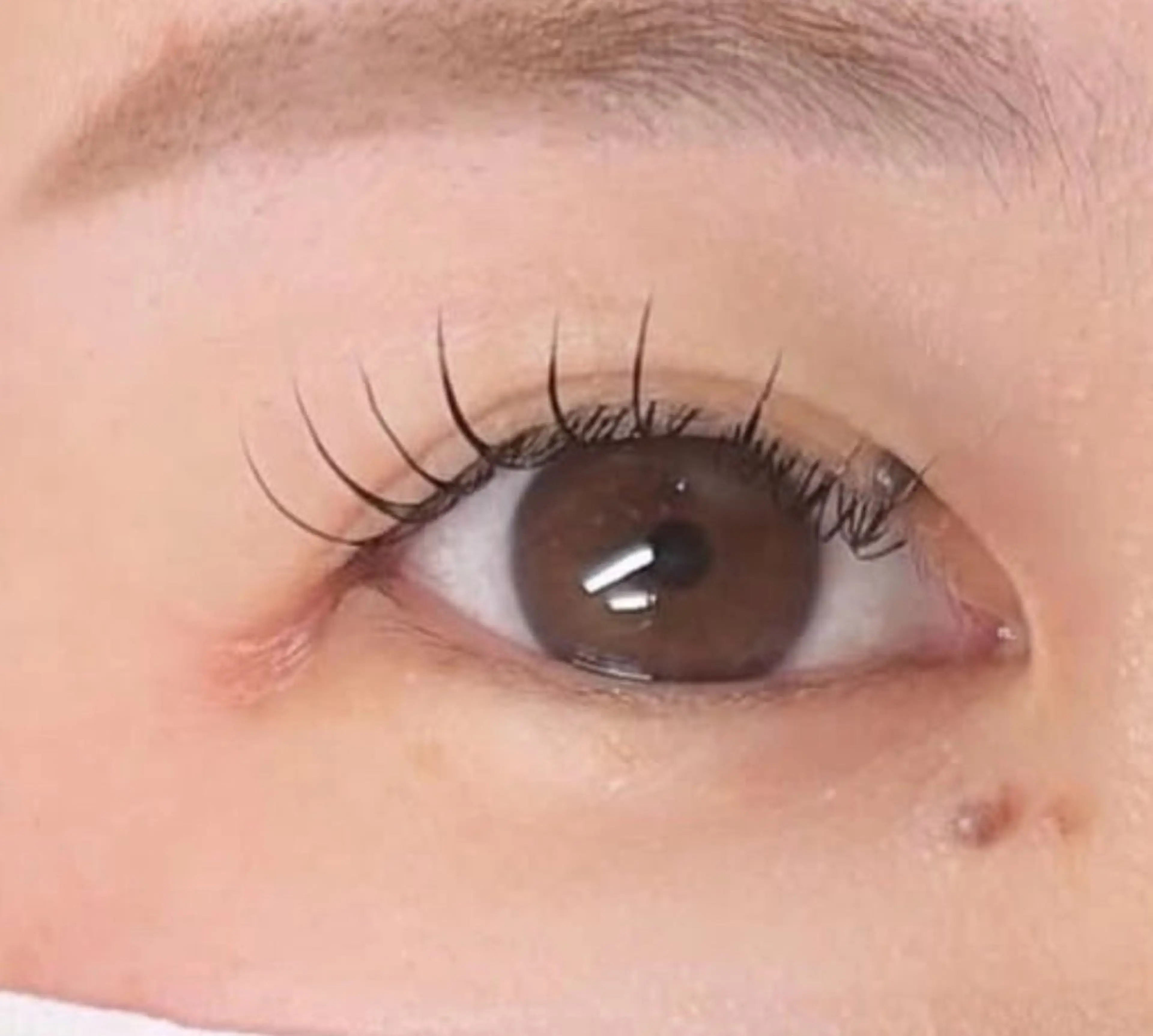 【オフ無料】フラットラッシュ100本の写真