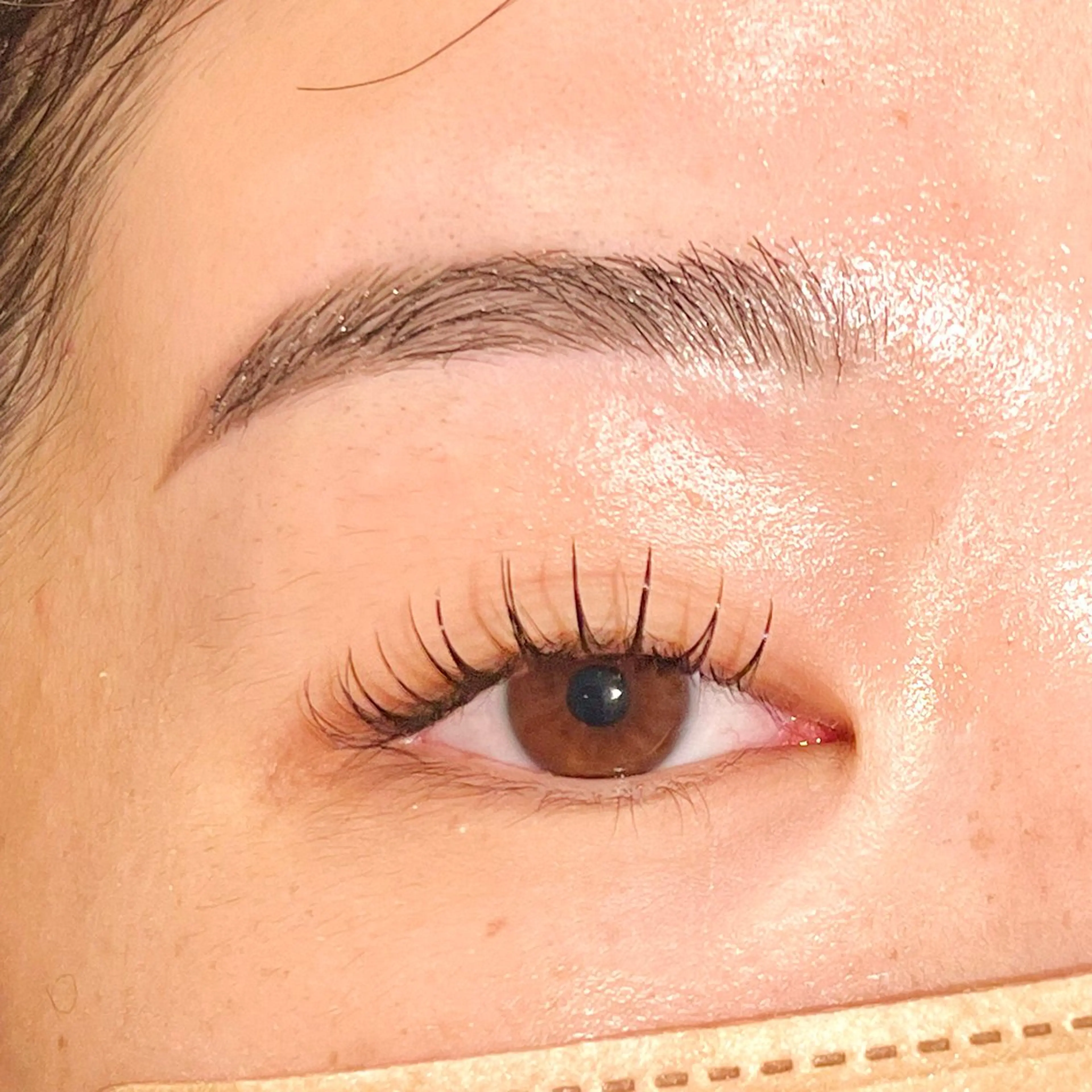 フラットラッシュ 100本(ナチュラル) 付け足し不可の写真