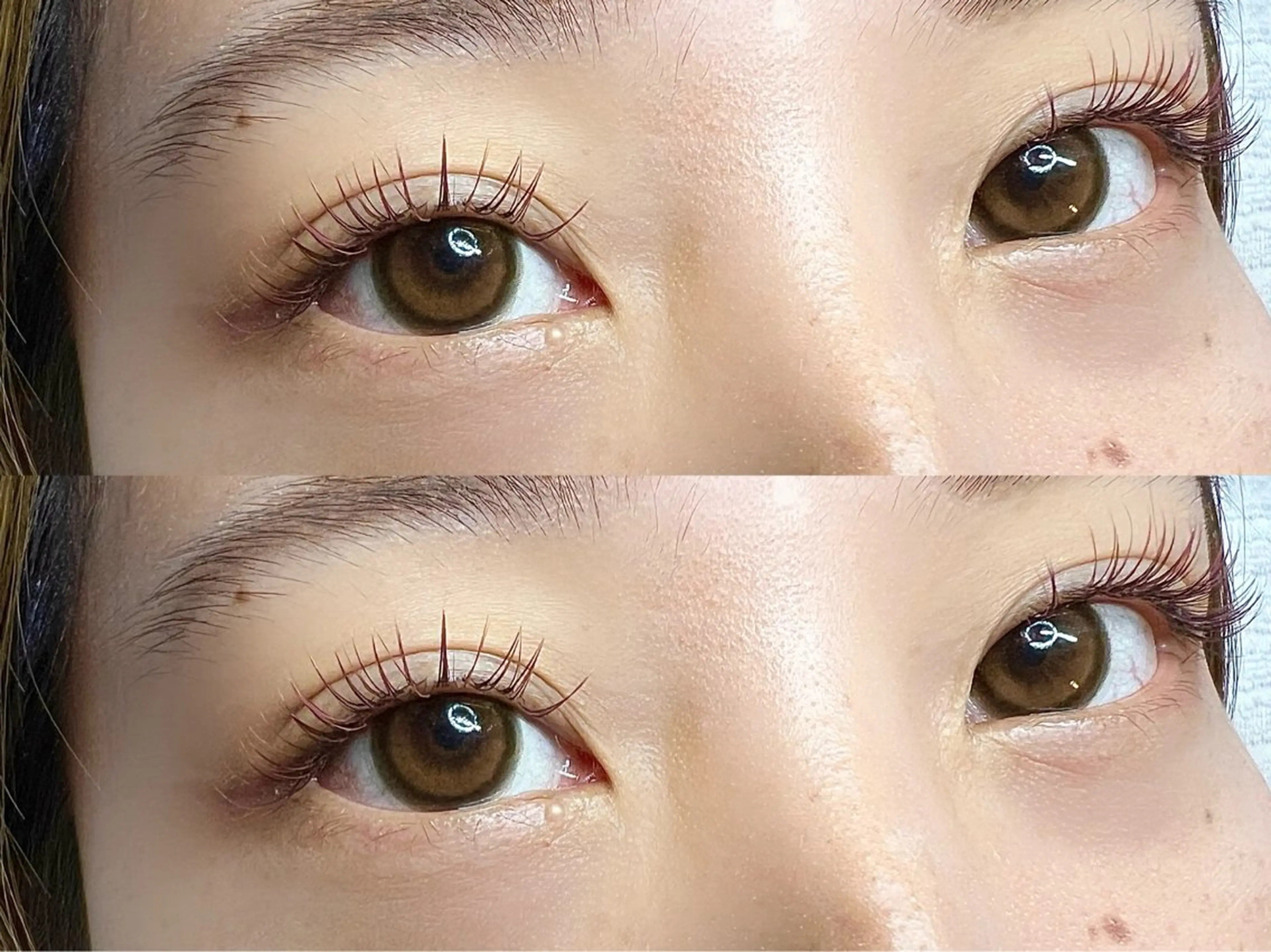 ＆HealthyLEDフラットマットラッシュ120本¥11000→¥9500の写真