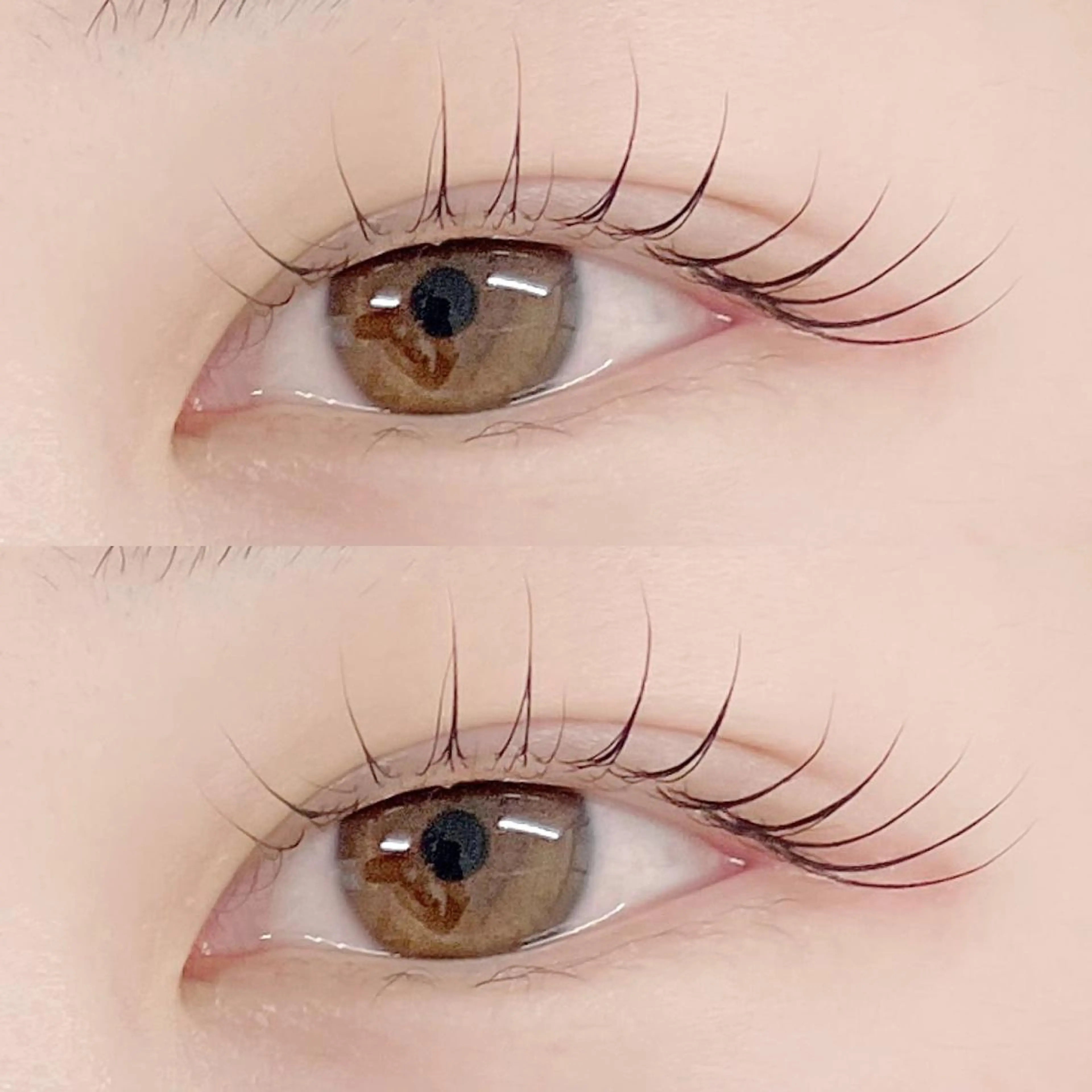 マツエク・マツパ フジ ワラのマツエク・マツパデザイン