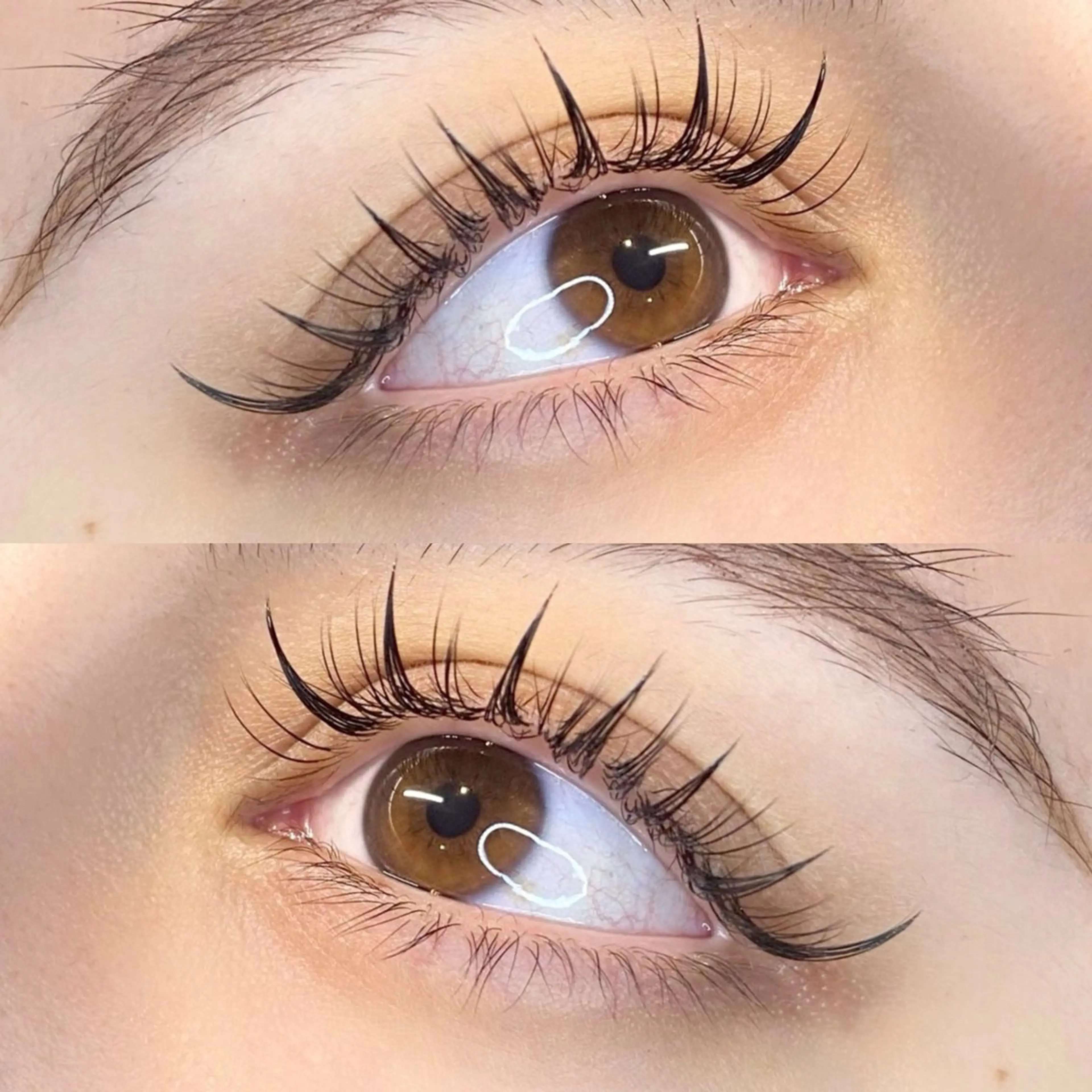 マツエク・マツパ マツエク Lily SHURIのマツエク・マツパデザイン