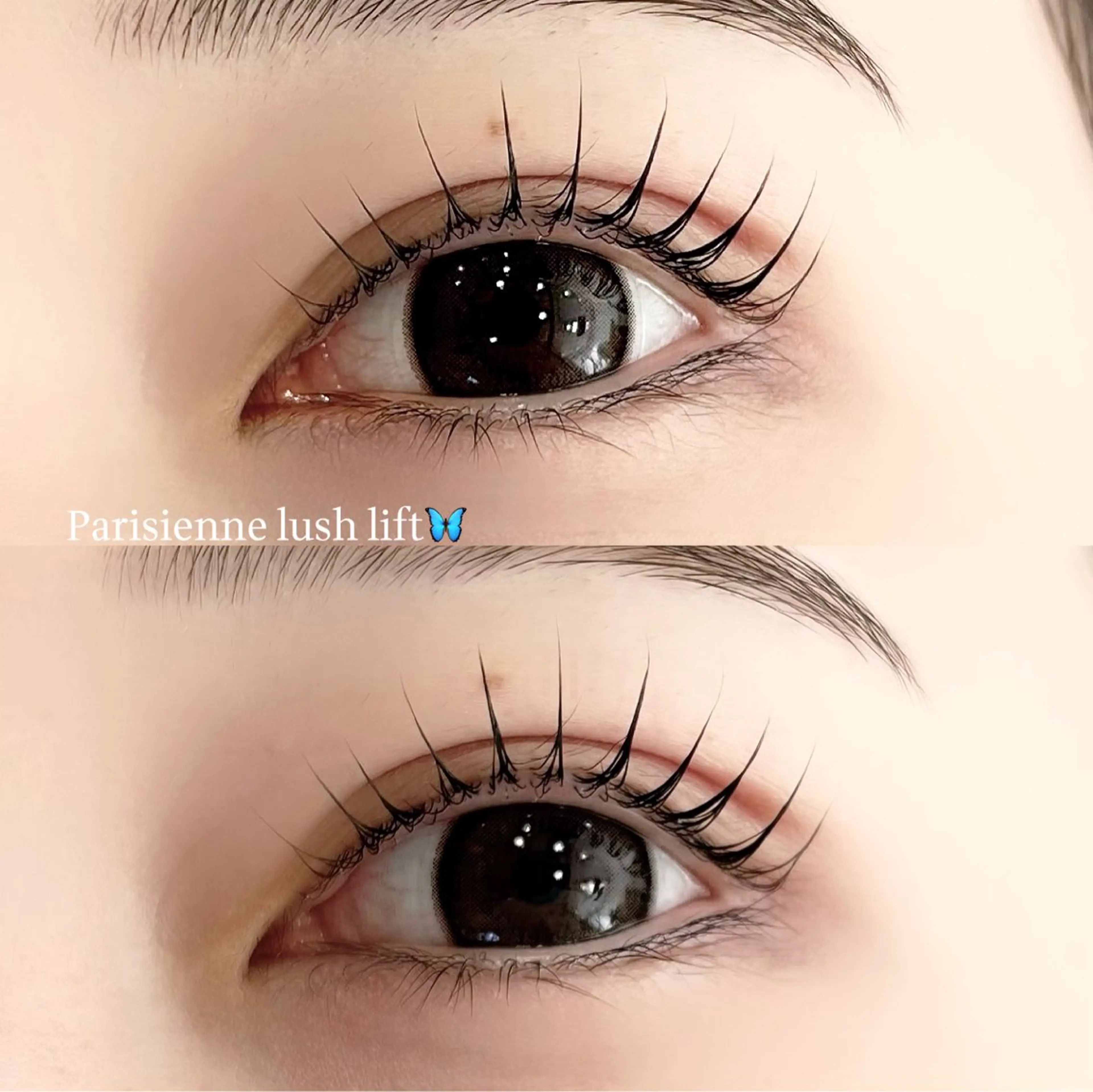 マツエク・マツパ ramu🎀 Mon mignonのマツエク・マツパデザイン