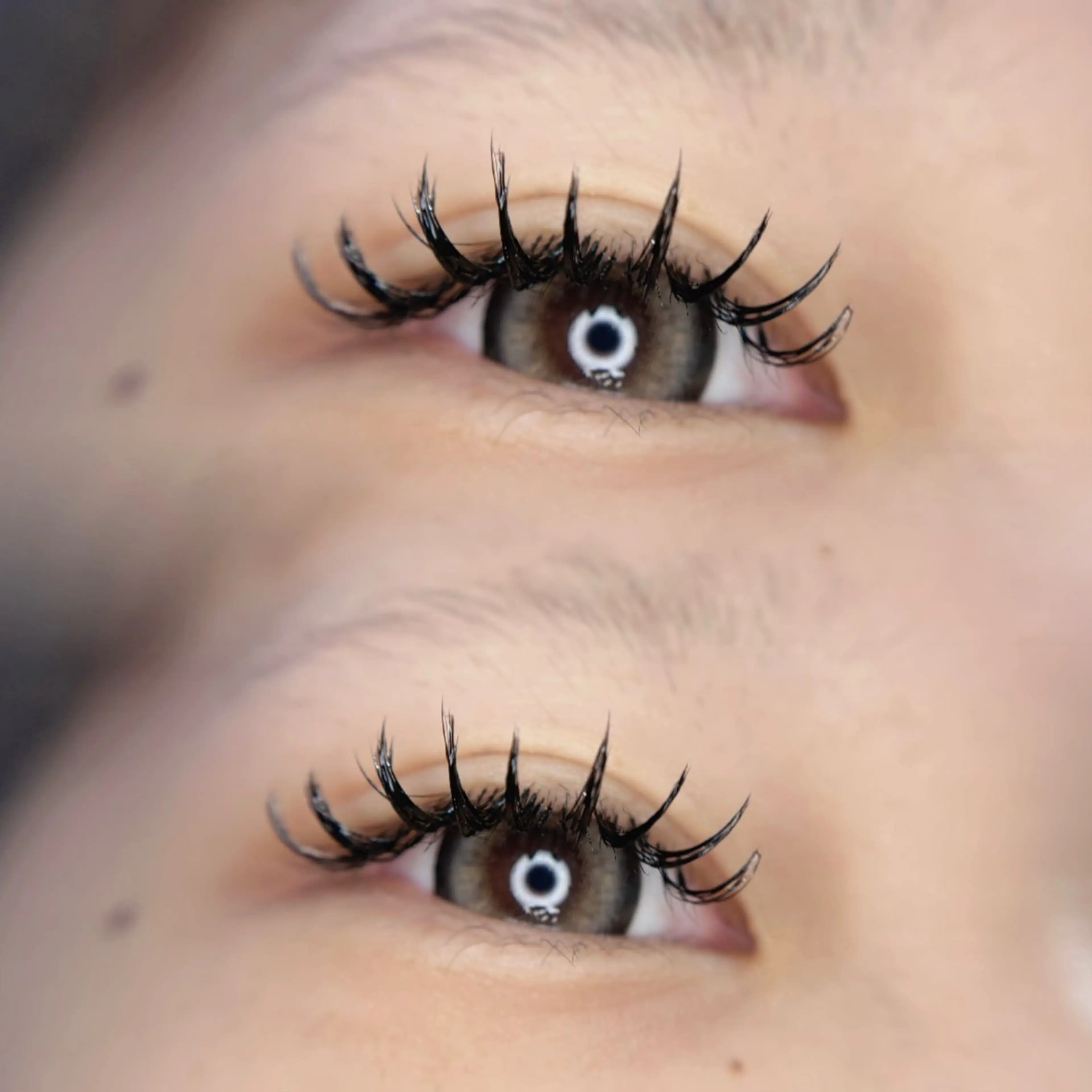 マツエク・マツパ バインドロック マツエク 🦋MaaZlash 南流山FUKA🤍のマツエク・マツパデザイン