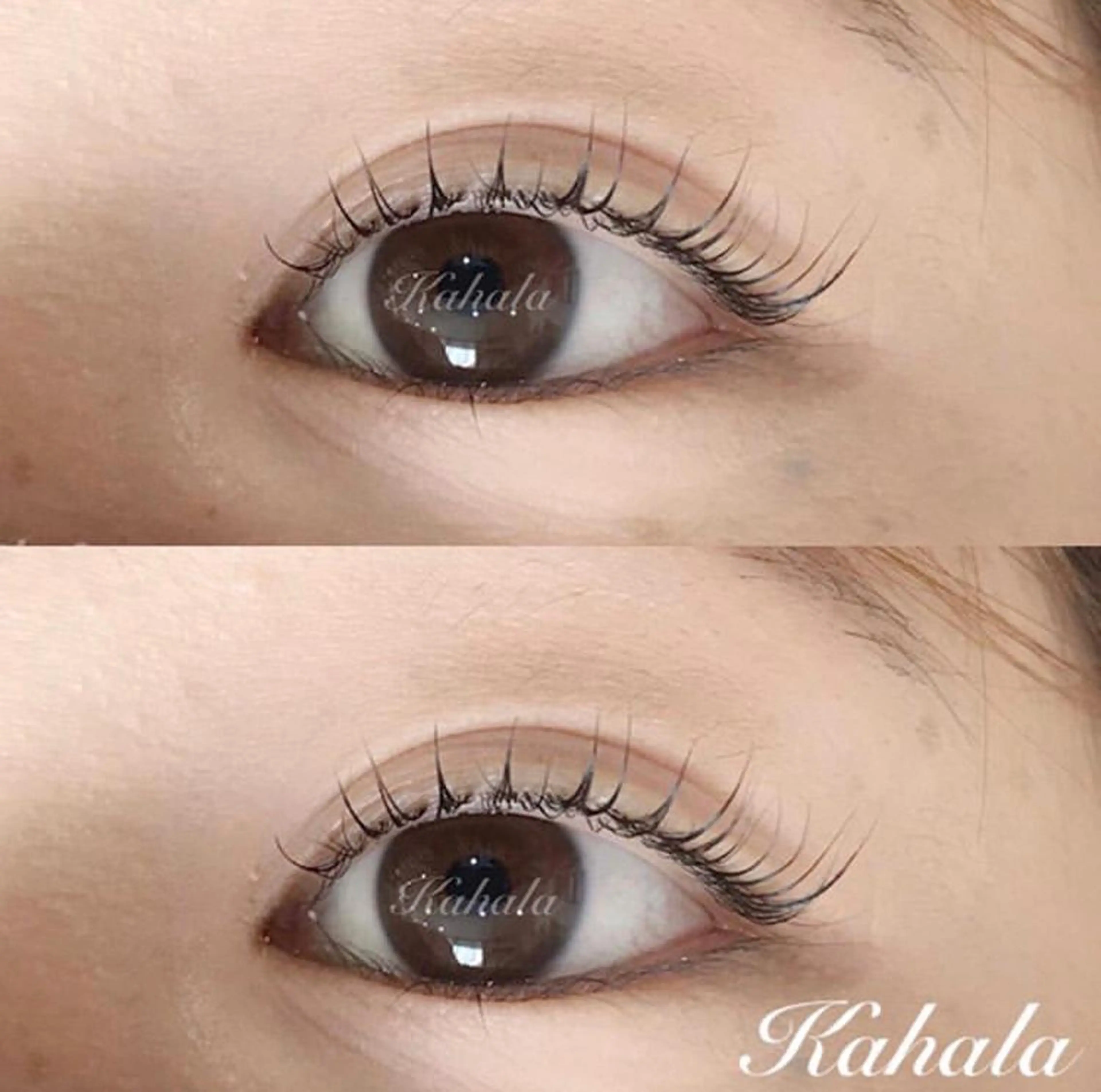 マツエク・マツパ Fujimoto 🦭⸝⋆꙳のマツエク・マツパデザイン