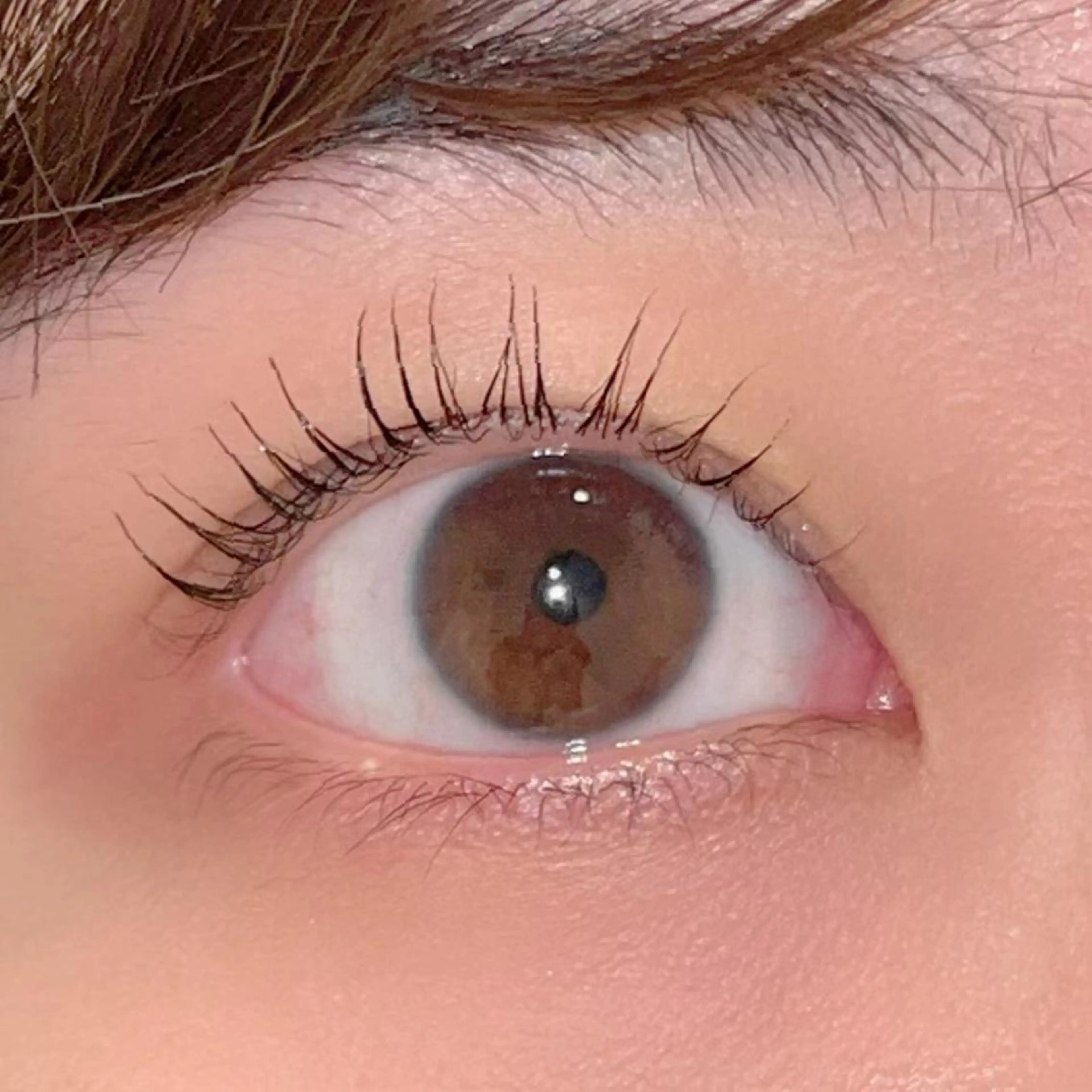 マツエク・マツパ パリジェンヌラッシュリフト まつげパーマ ai一重専門🎀束感 まつげ🫧表参道のマツエク・マツパデザイン