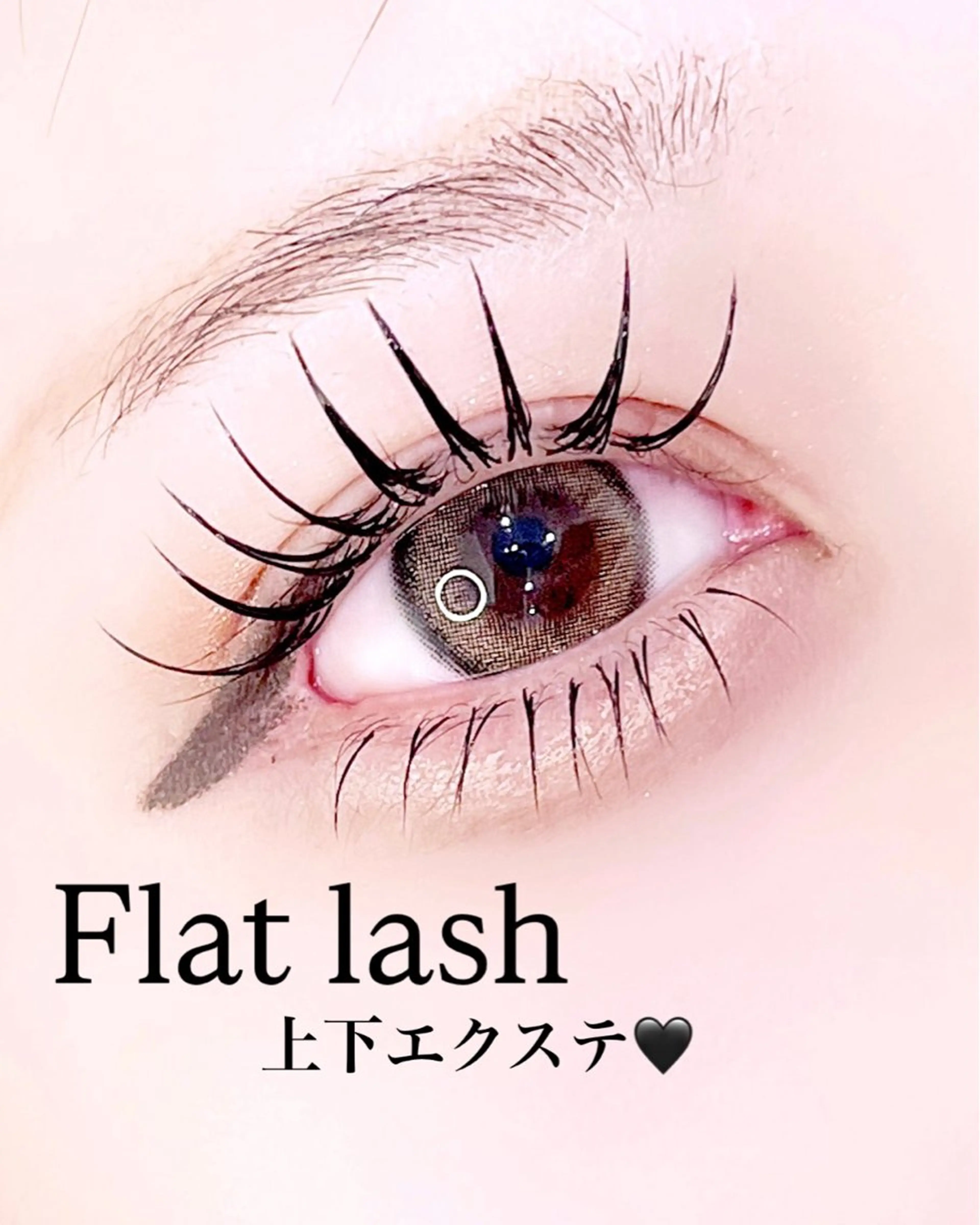 【初回限定】🩶上下エクステ付け放題✨160本まで✨オフ込み✨美容液コーティング美容液仕上げ🩶の写真