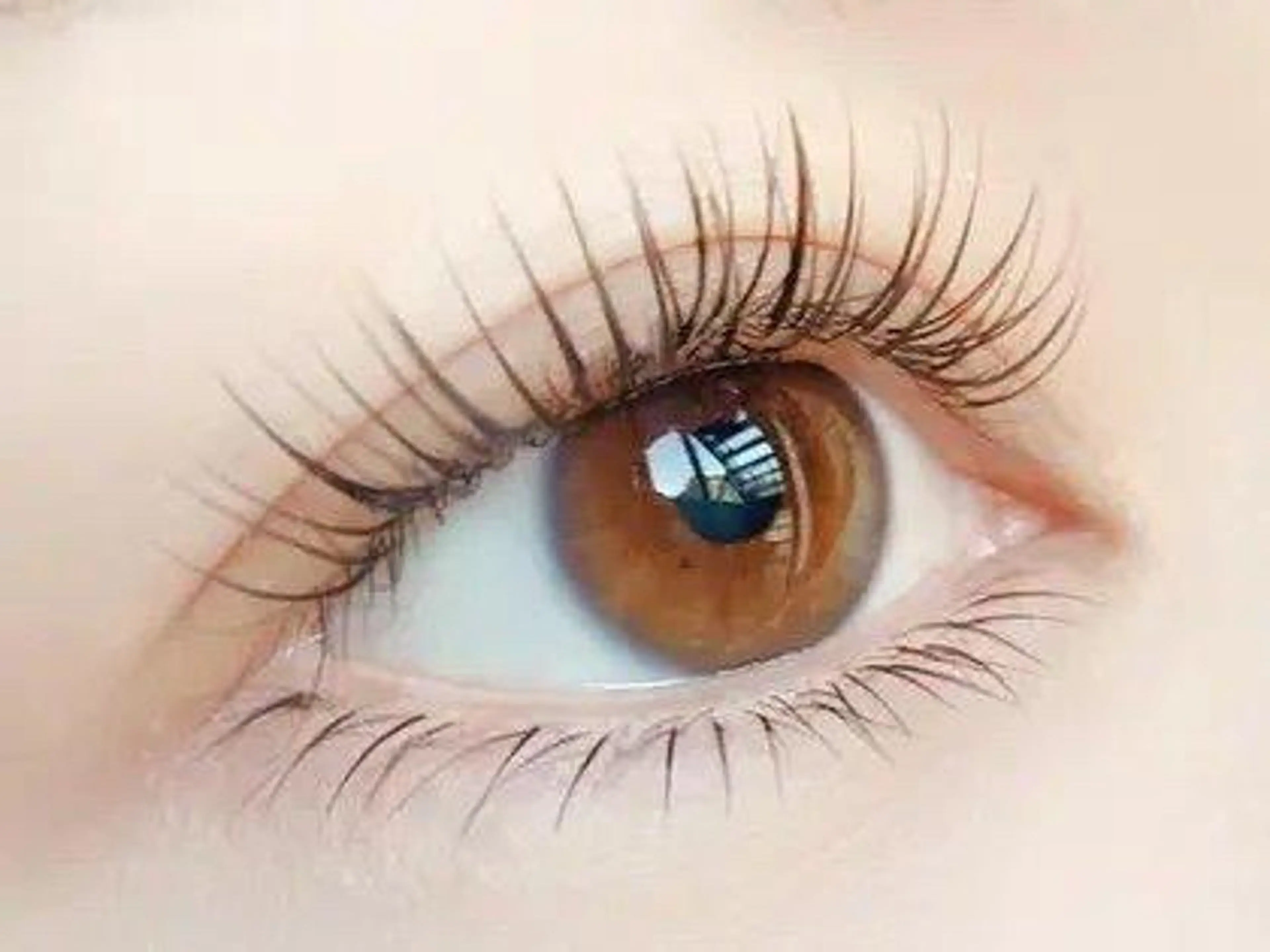 🤍【オフ無し・付け足し不可】【上100～120本】＋￥500でフラットラッシュに変更可の写真