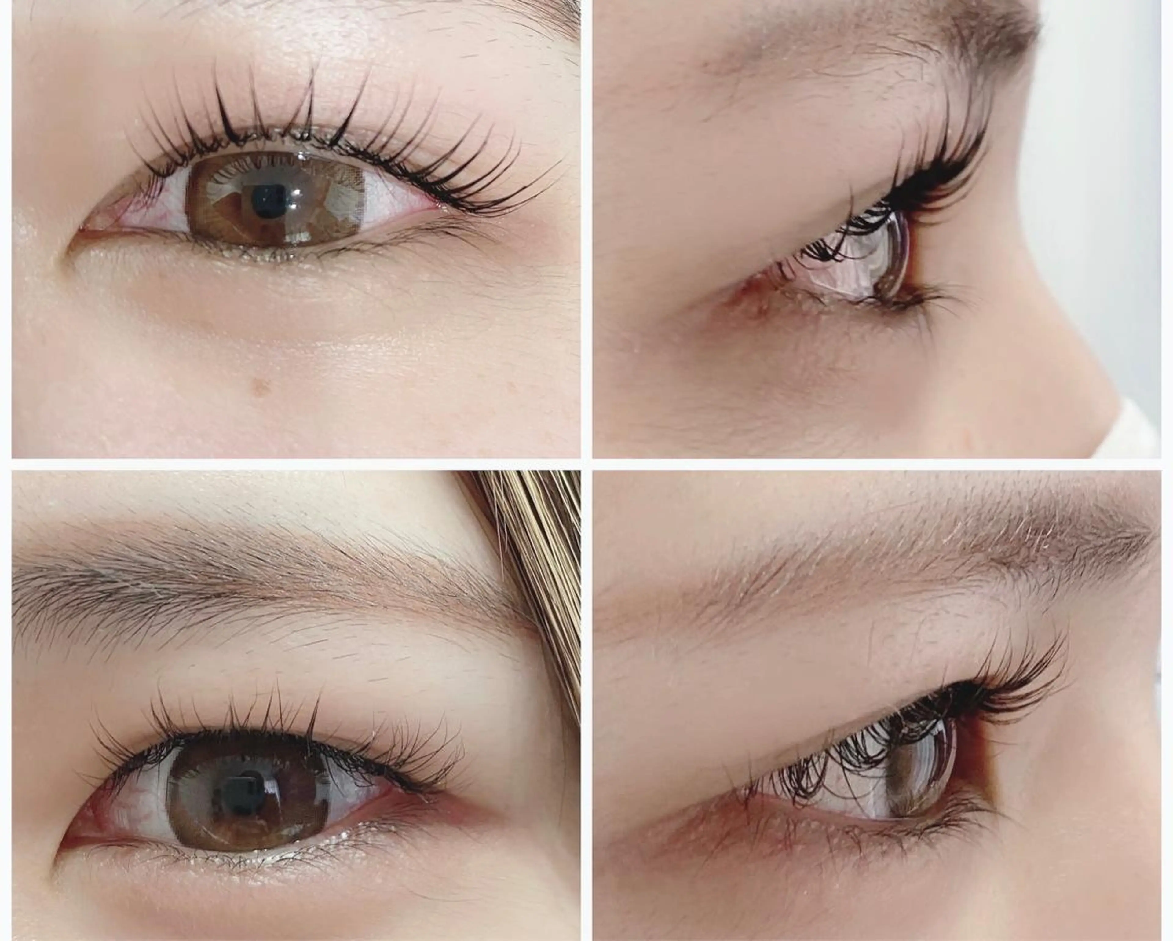 マツエク・マツパ マツパ サロン ブルージュの眉毛・アイブロウイメージ