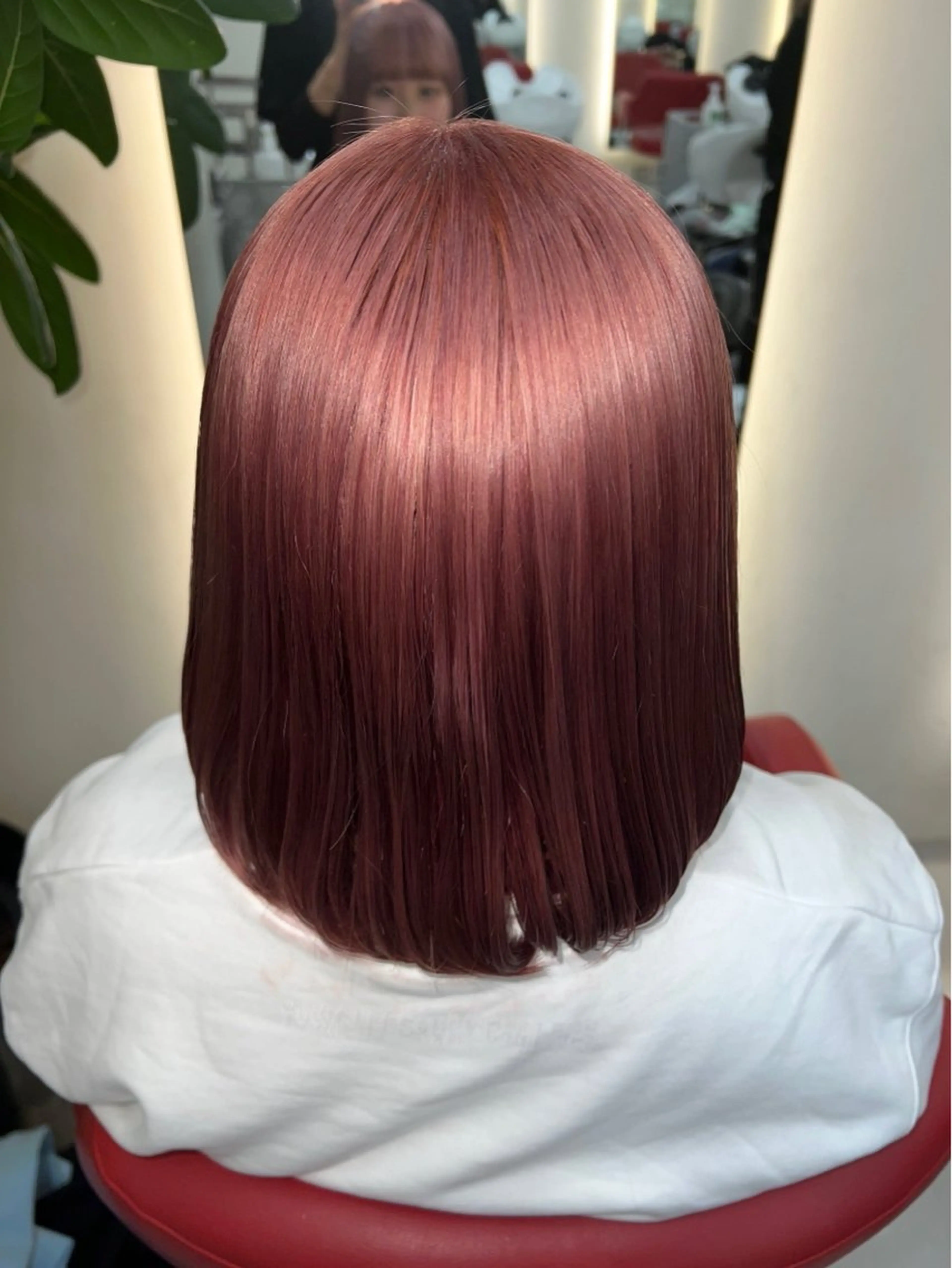 カラー モデル募集中✨ / Annaのヘアスタイル