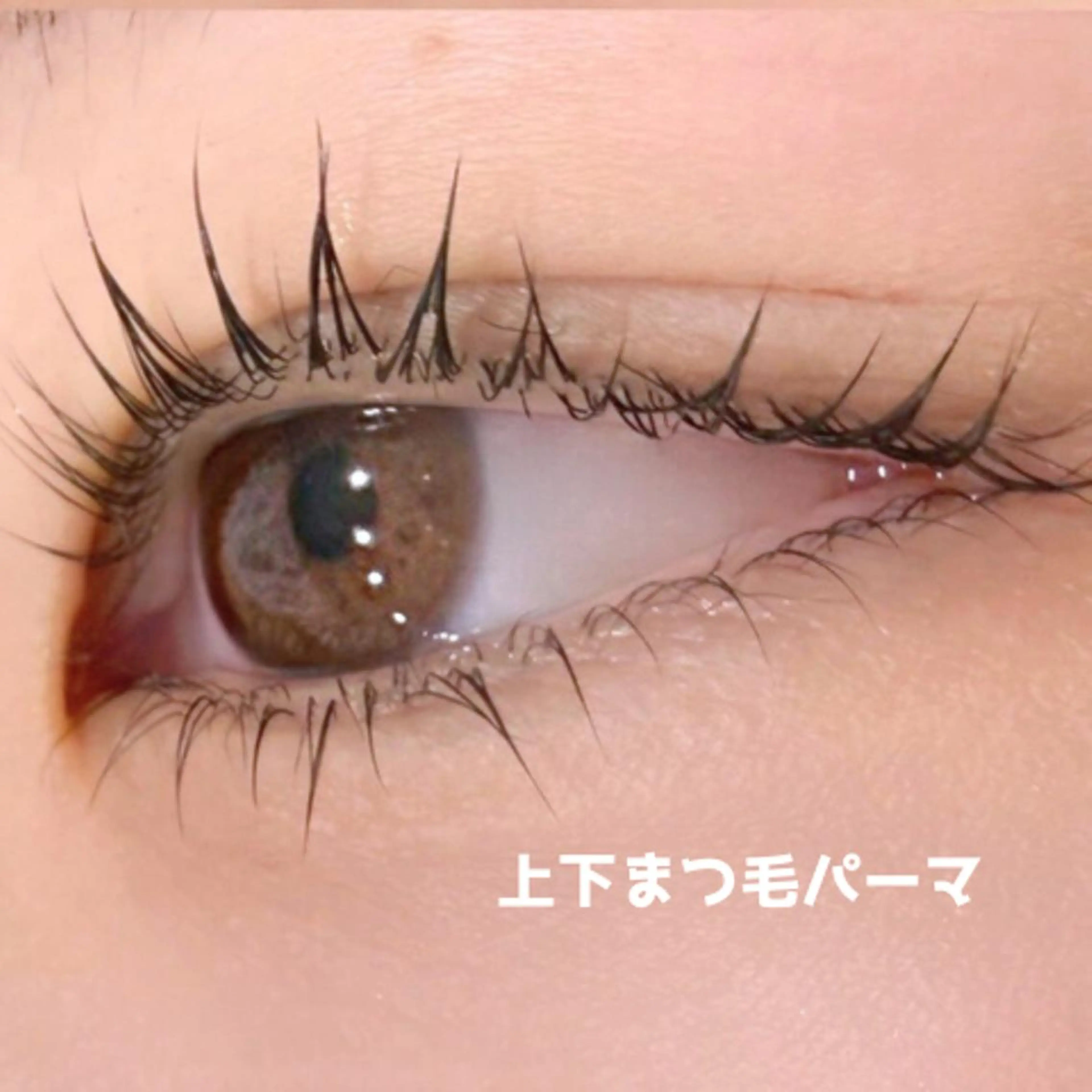 マツエク・マツパ 下まつげエクステ 一重×まつ毛パーマ franfika かりごめのマツエク・マツパデザイン