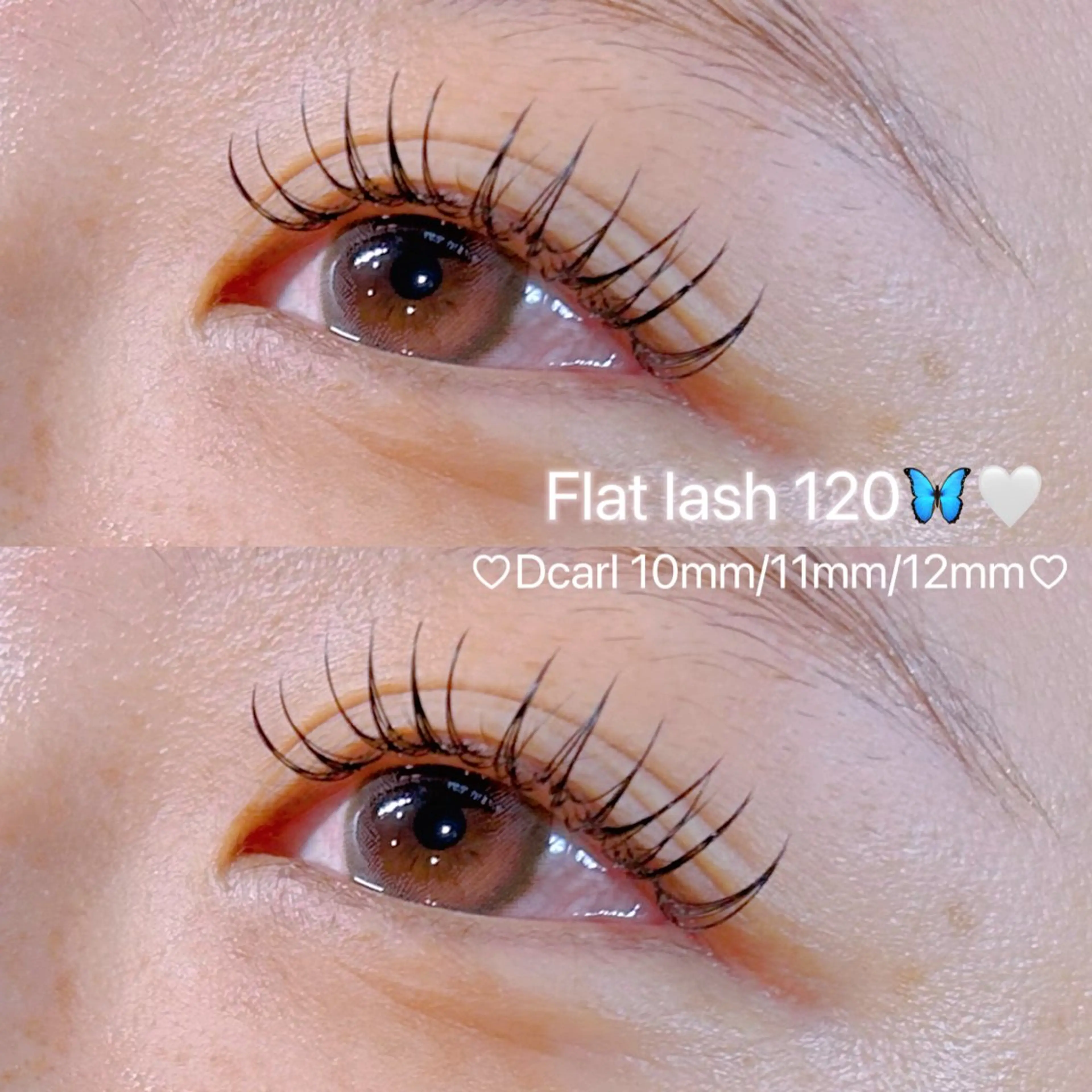 マツエク・マツパ 萩原 夕梨🧸のマツエク・マツパデザイン