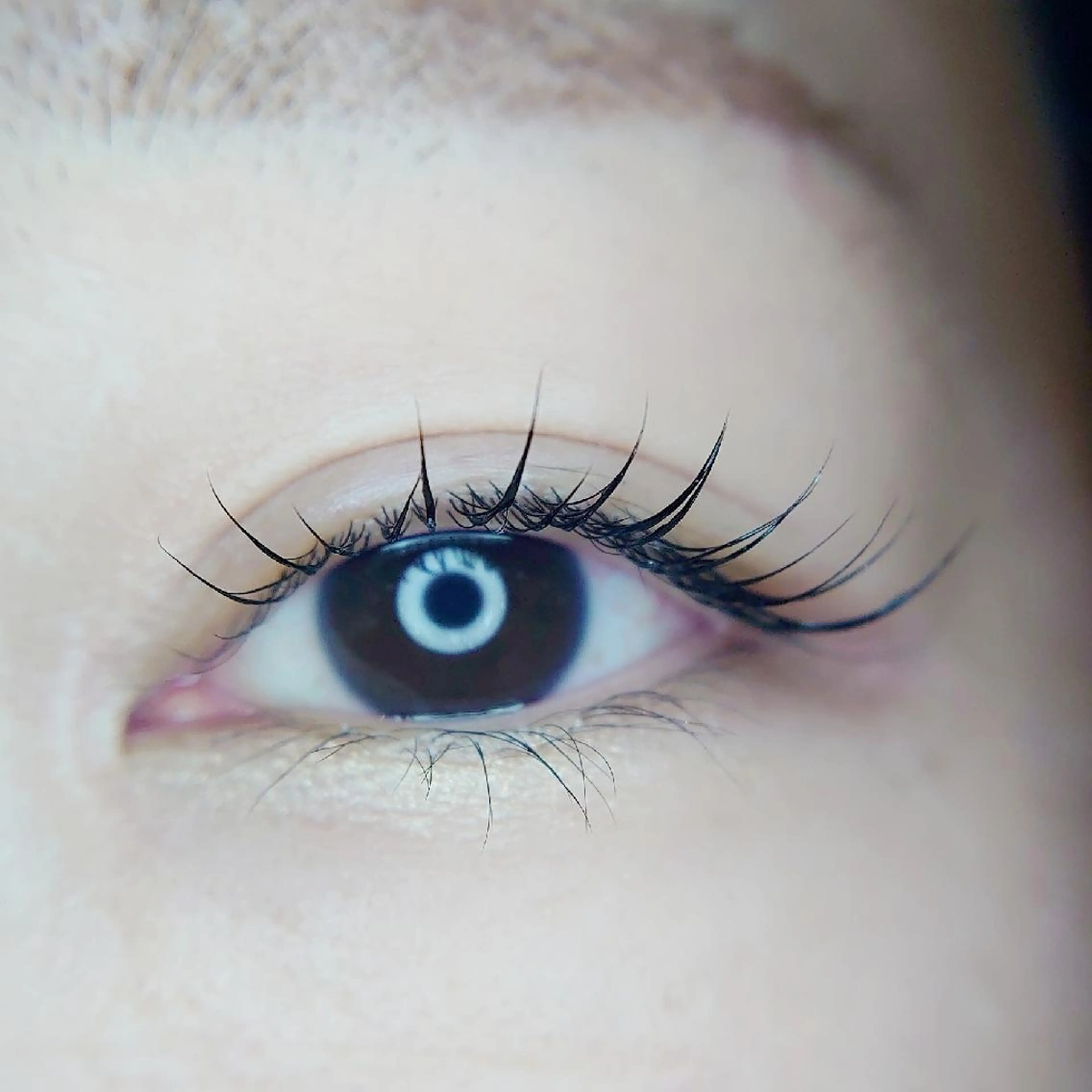 マツエク・マツパ マツパ Chelu TOMのマツエク・マツパデザイン