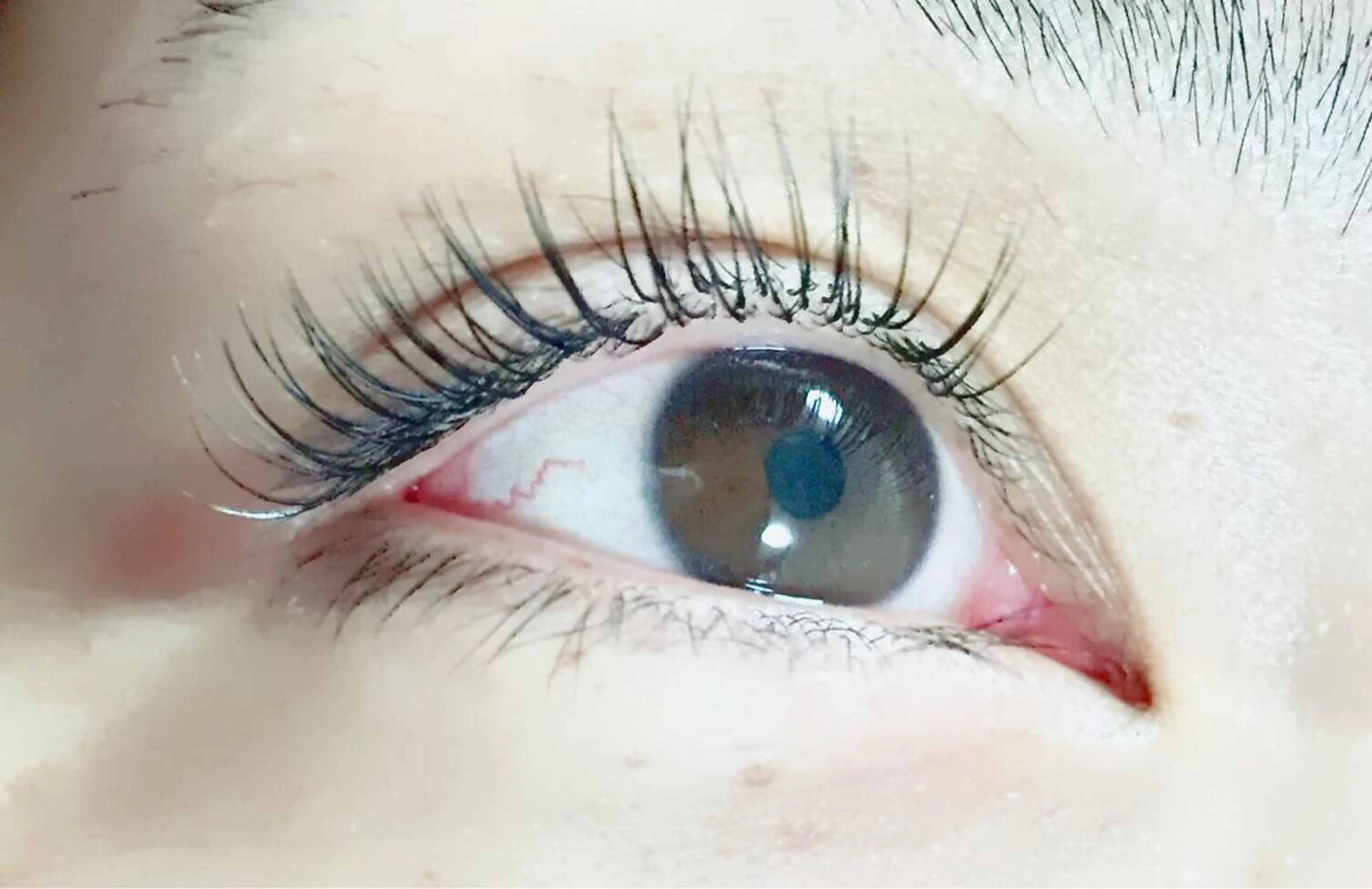 マツエク・マツパ Shinus シャイナスのマツエク・マツパデザイン