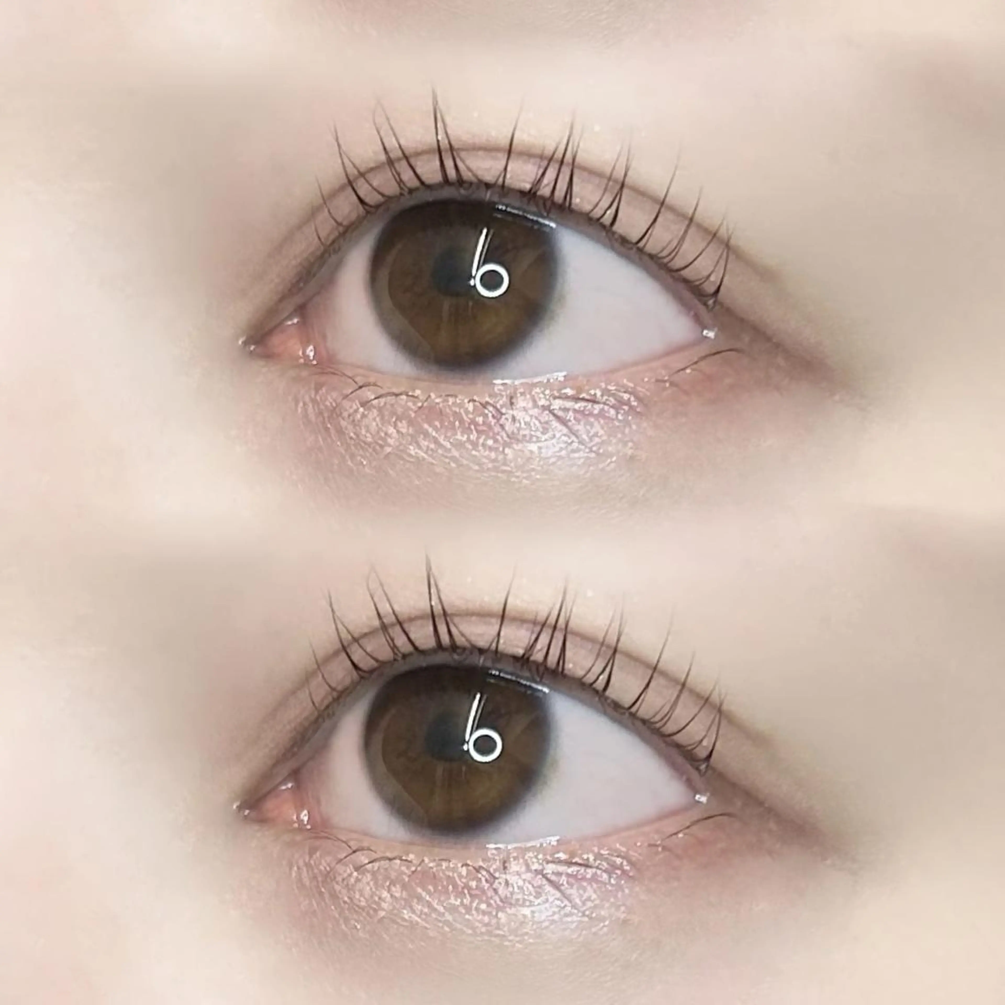 マツエク・マツパ パリジェンヌラッシュリフト 🦢✨fein. 原宿店✨🤍の眉毛・アイブロウイメージ