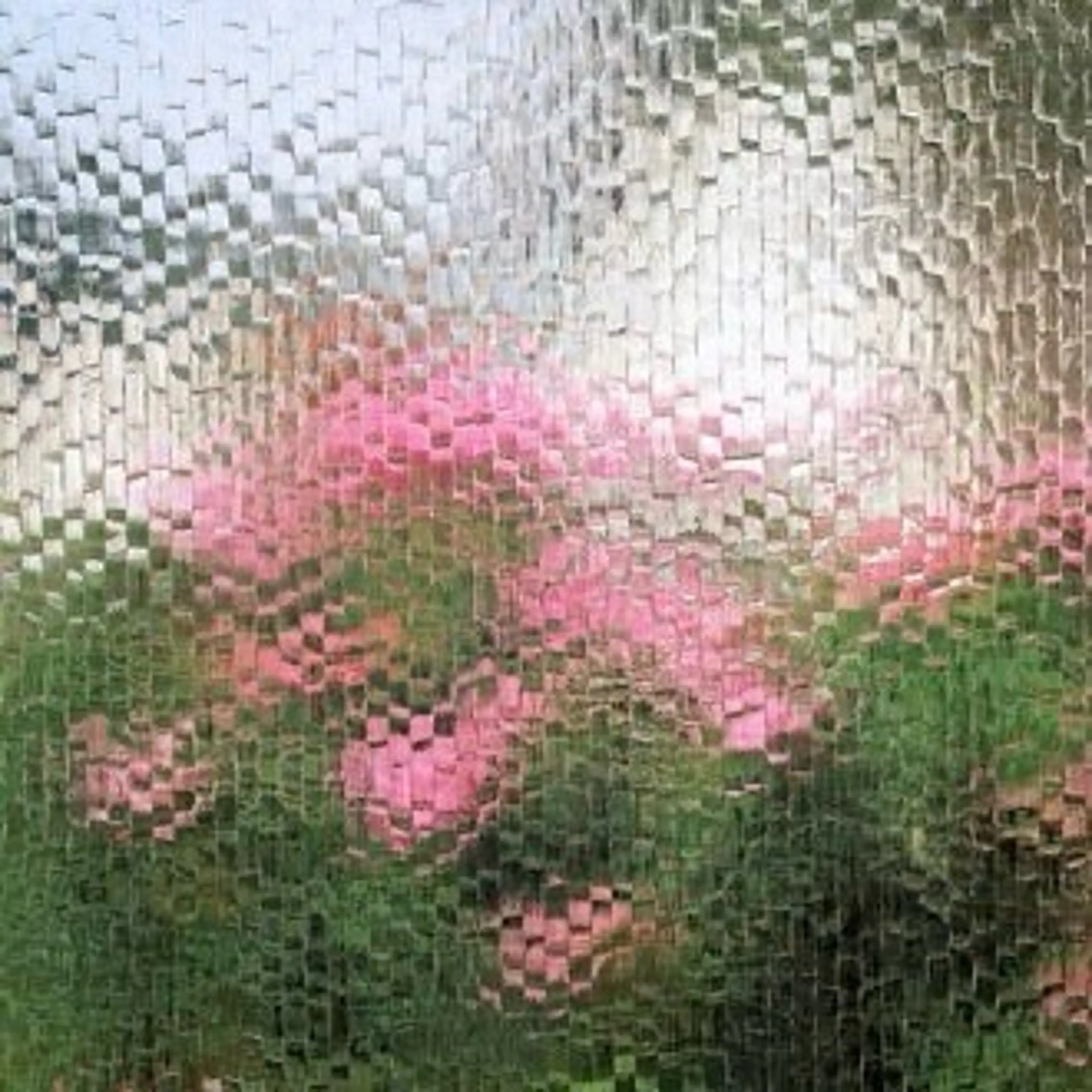 ハンドケア 🧁🥕 asukaのネイルデザイン