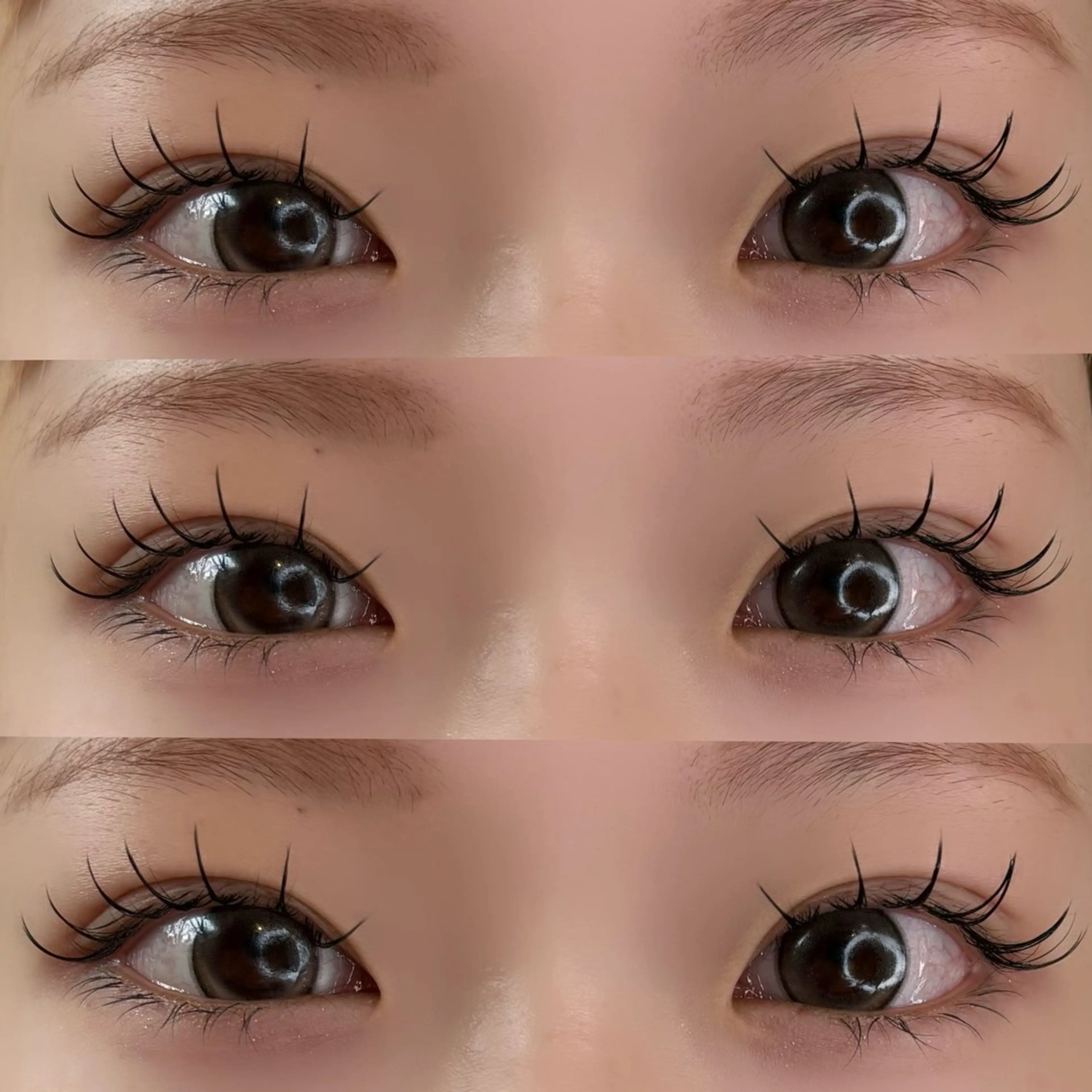 マツエク100本+束感コーティング🐈⬛🎀の写真