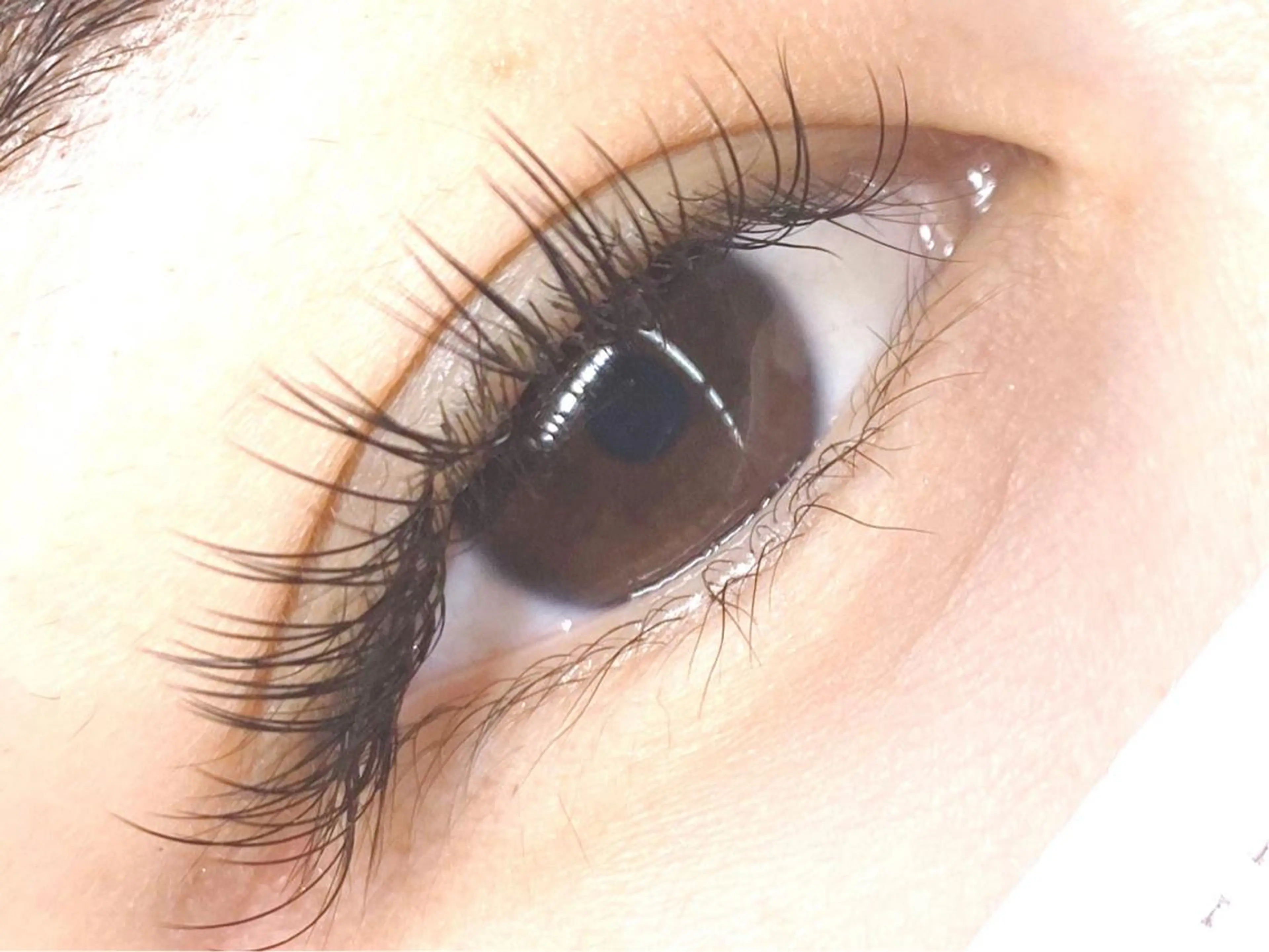 マツエク・マツパ Cカール フラットラッシュ *.川崎中島.* Álloのマツエク・マツパデザイン