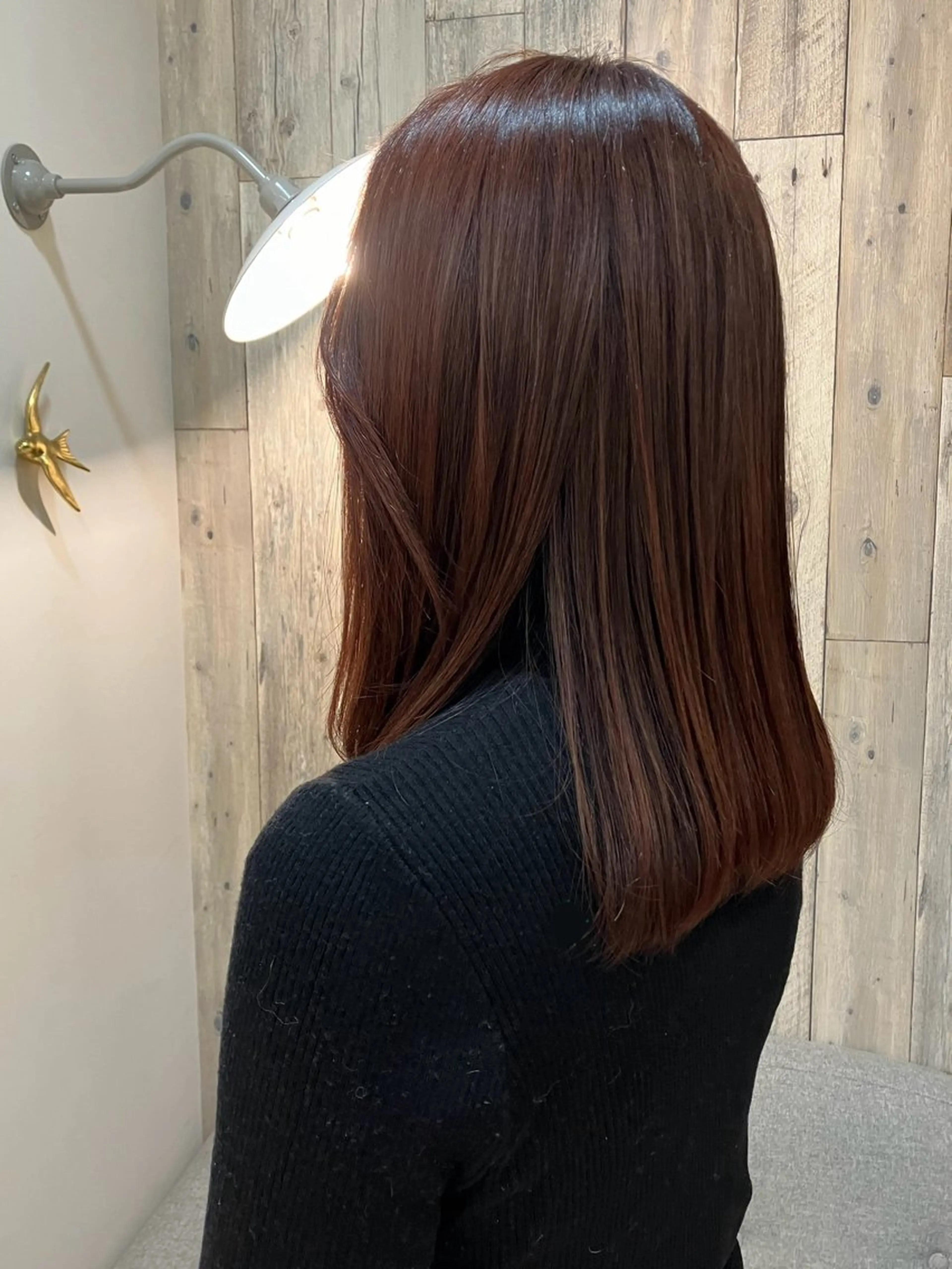 【イルミナ】ワンカラー .｡♡の写真