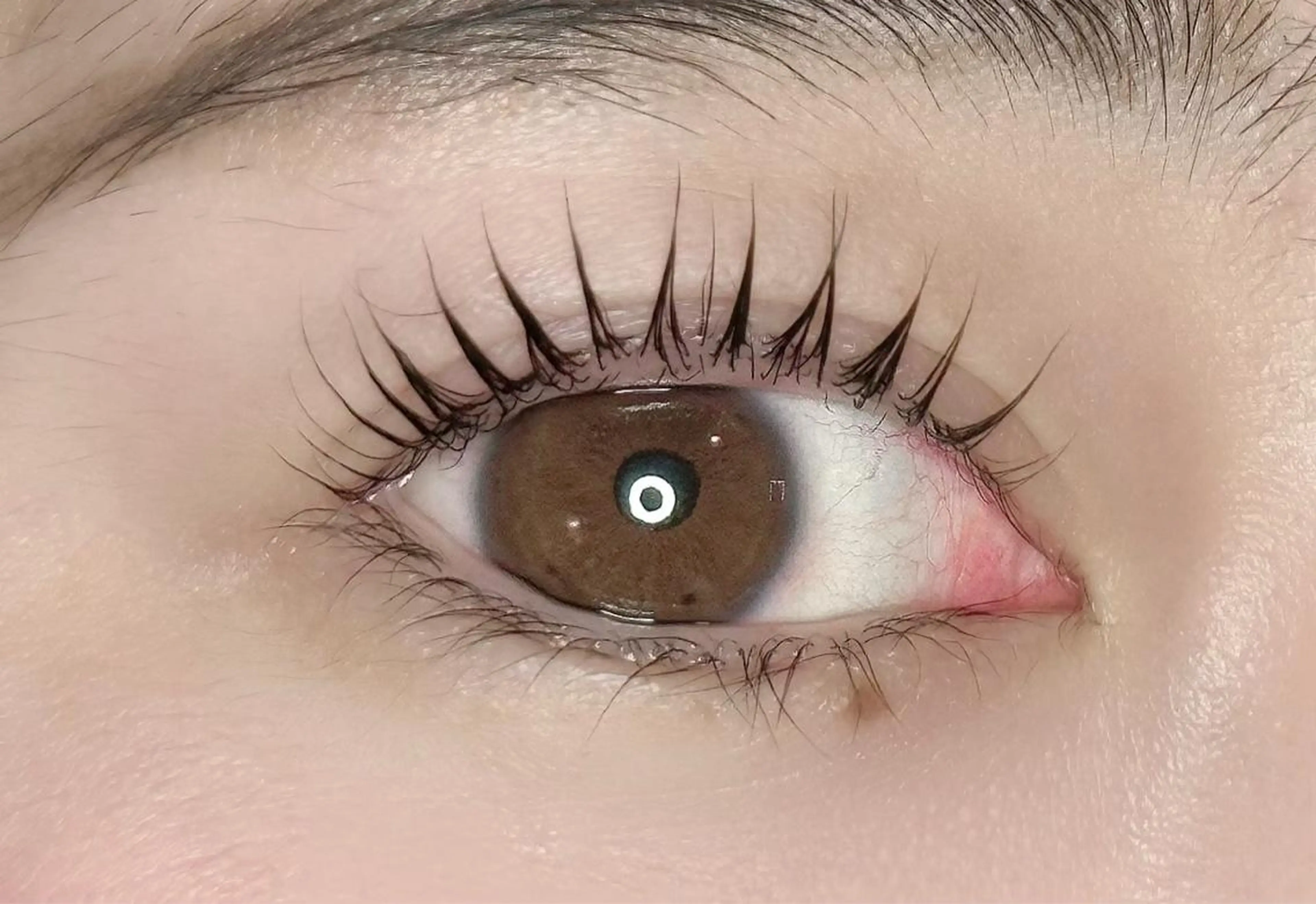 マツエク・マツパ マツパ Noel 新宿南口 Yumiのマツエク・マツパデザイン