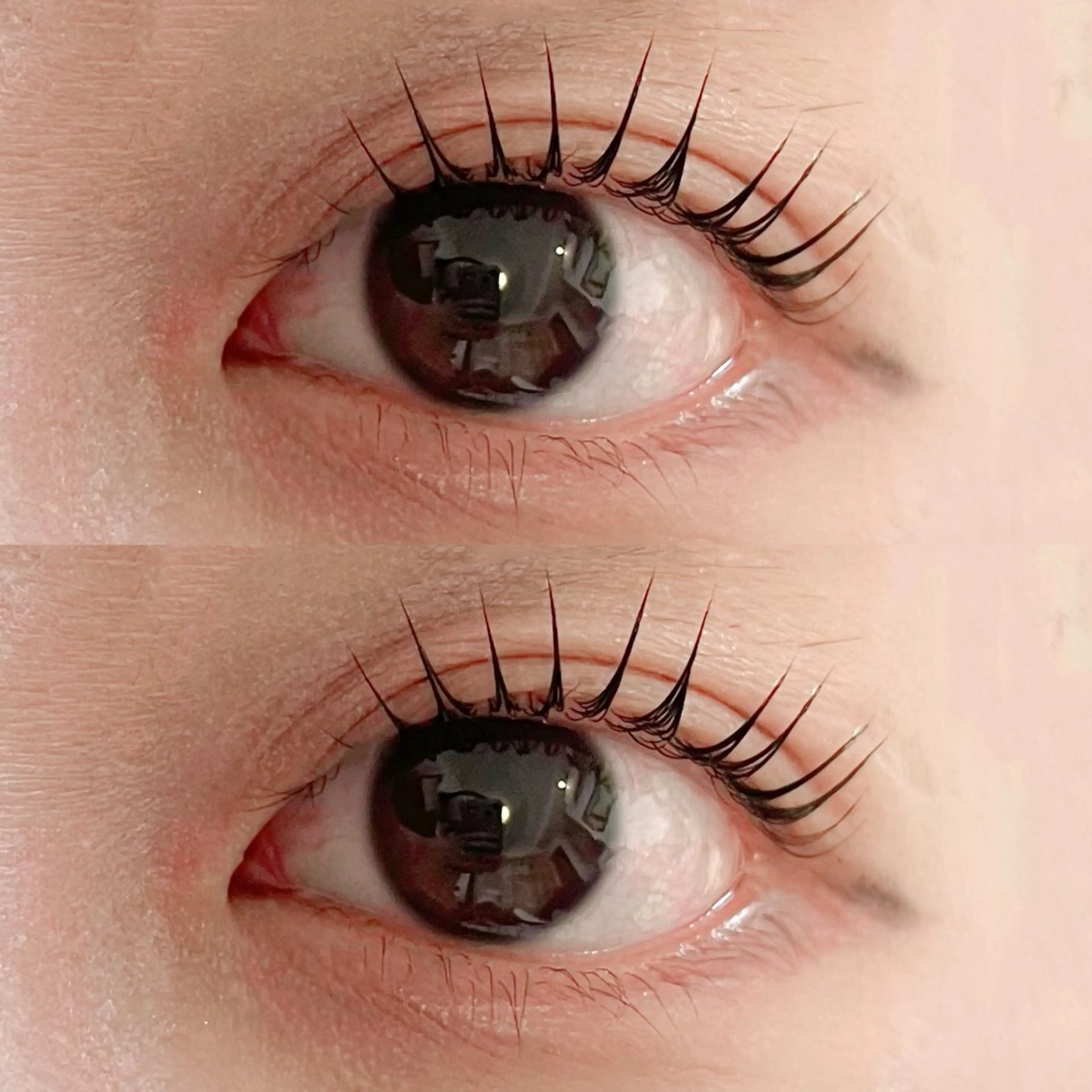 【まつ毛パーマ☆立ち上げ×微カール】　　　　　　　　　　👑パリジェンヌ👑の写真