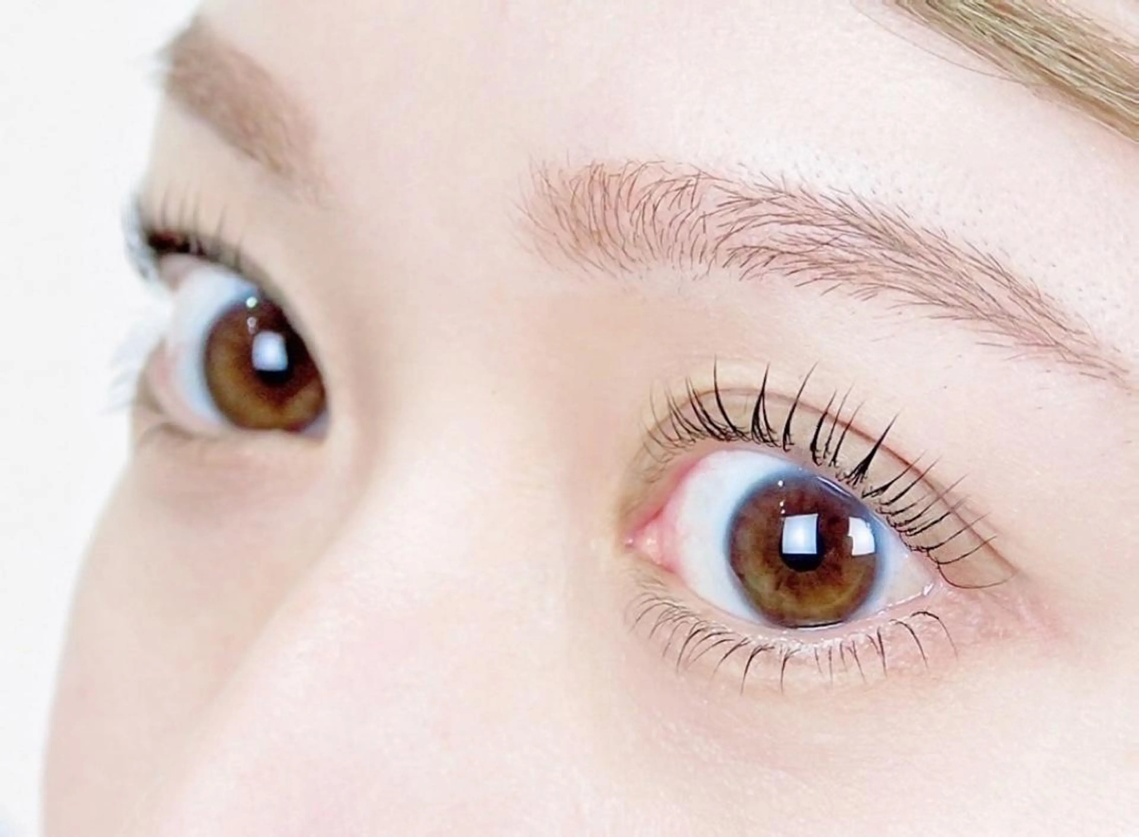 マツエク・マツパ ブリリアンス東京 銀座店のマツエク・マツパデザイン