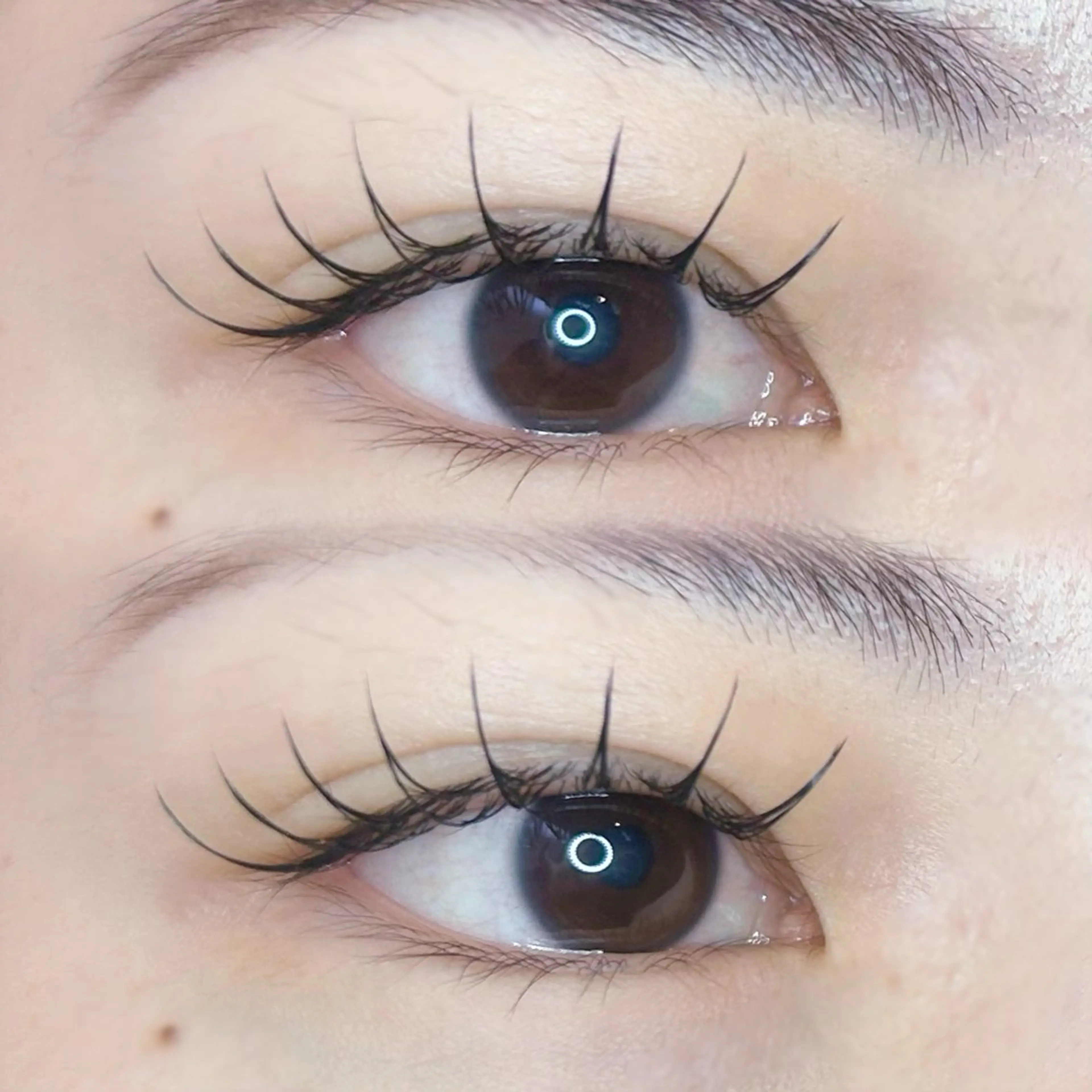 マツエク・マツパ こと / 束感マツエク🐩🤍のマツエク・マツパデザイン