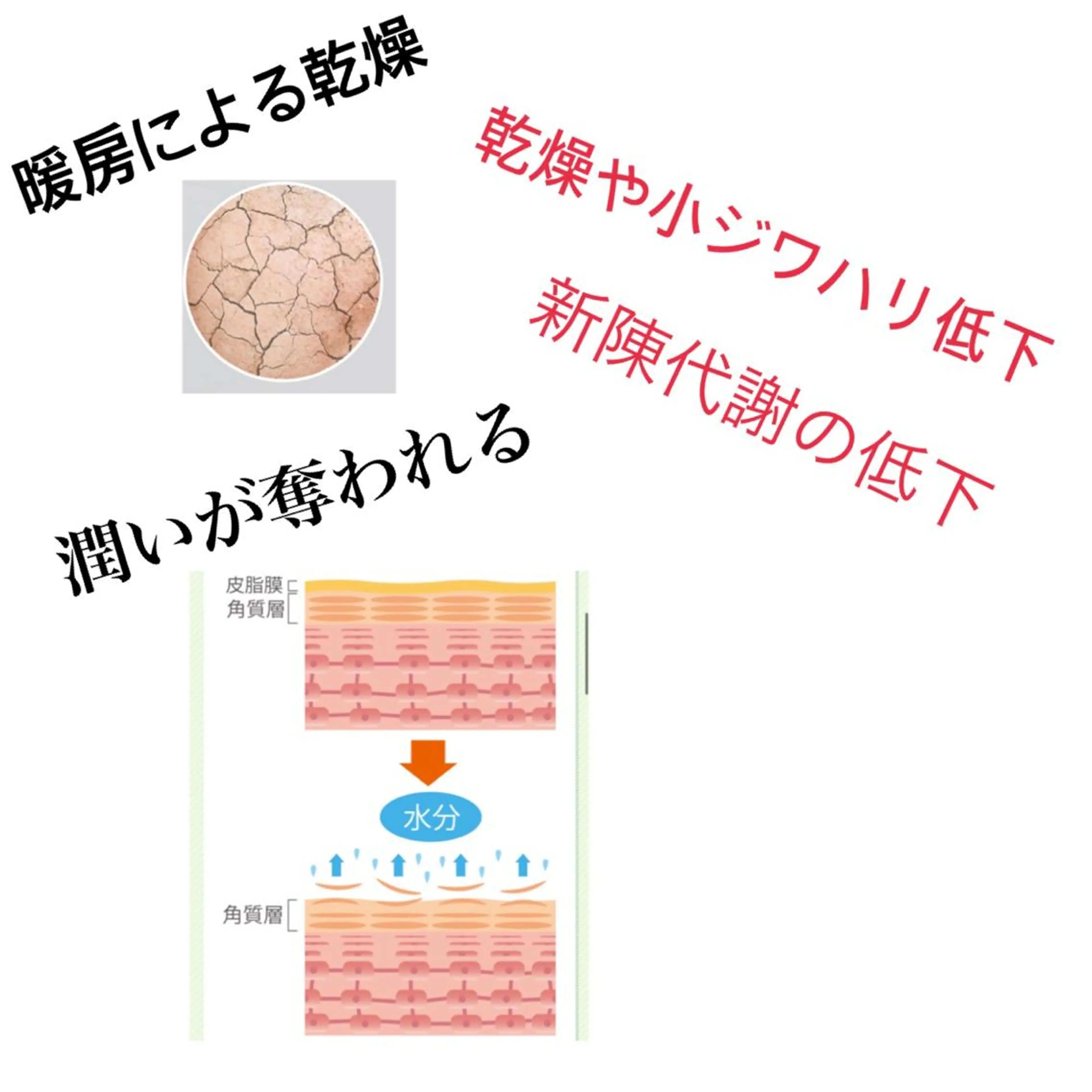 saya Mのエステ・リラクイメージ