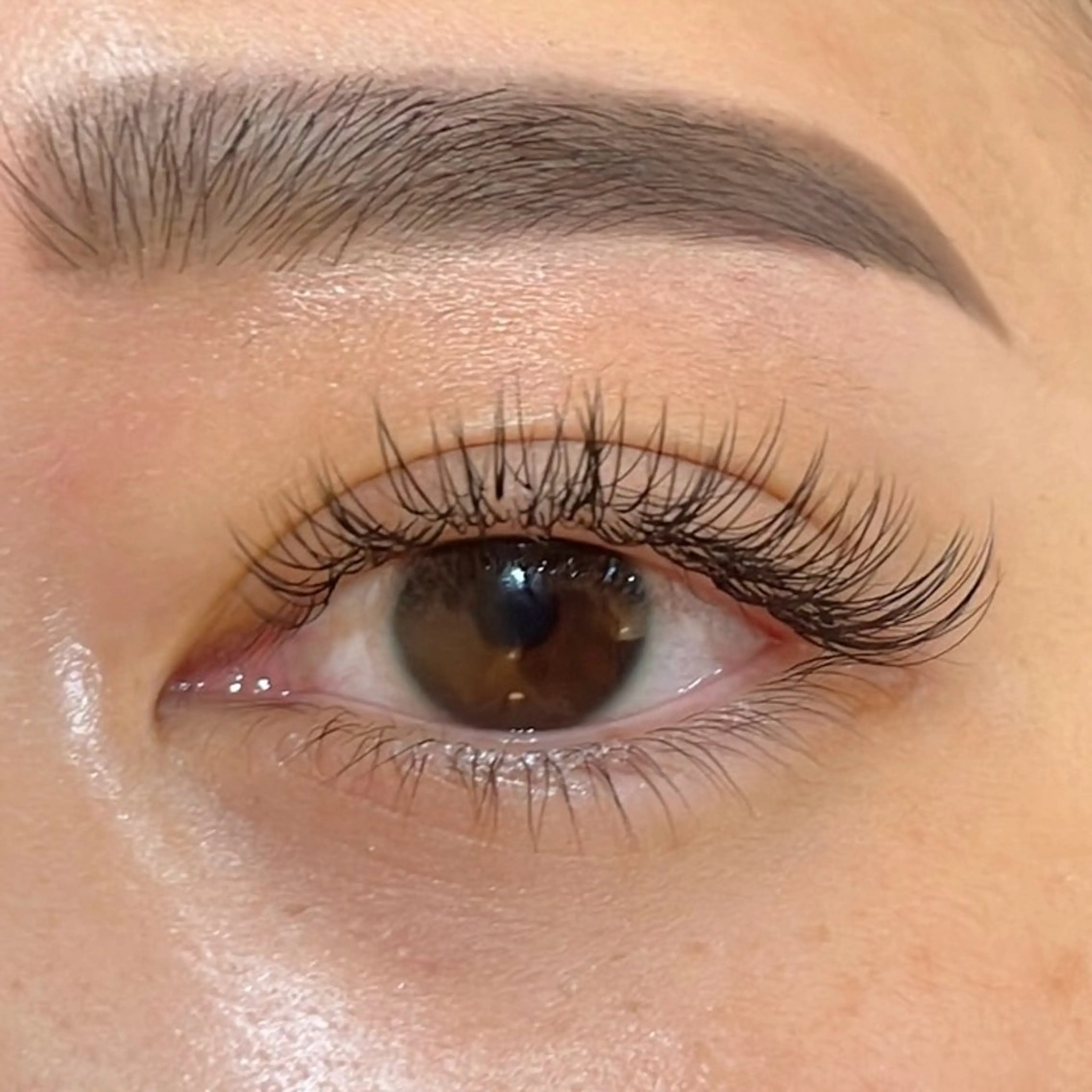 マツエク・マツパ Embellir/ "Aine"🕊のマツエク・マツパデザイン