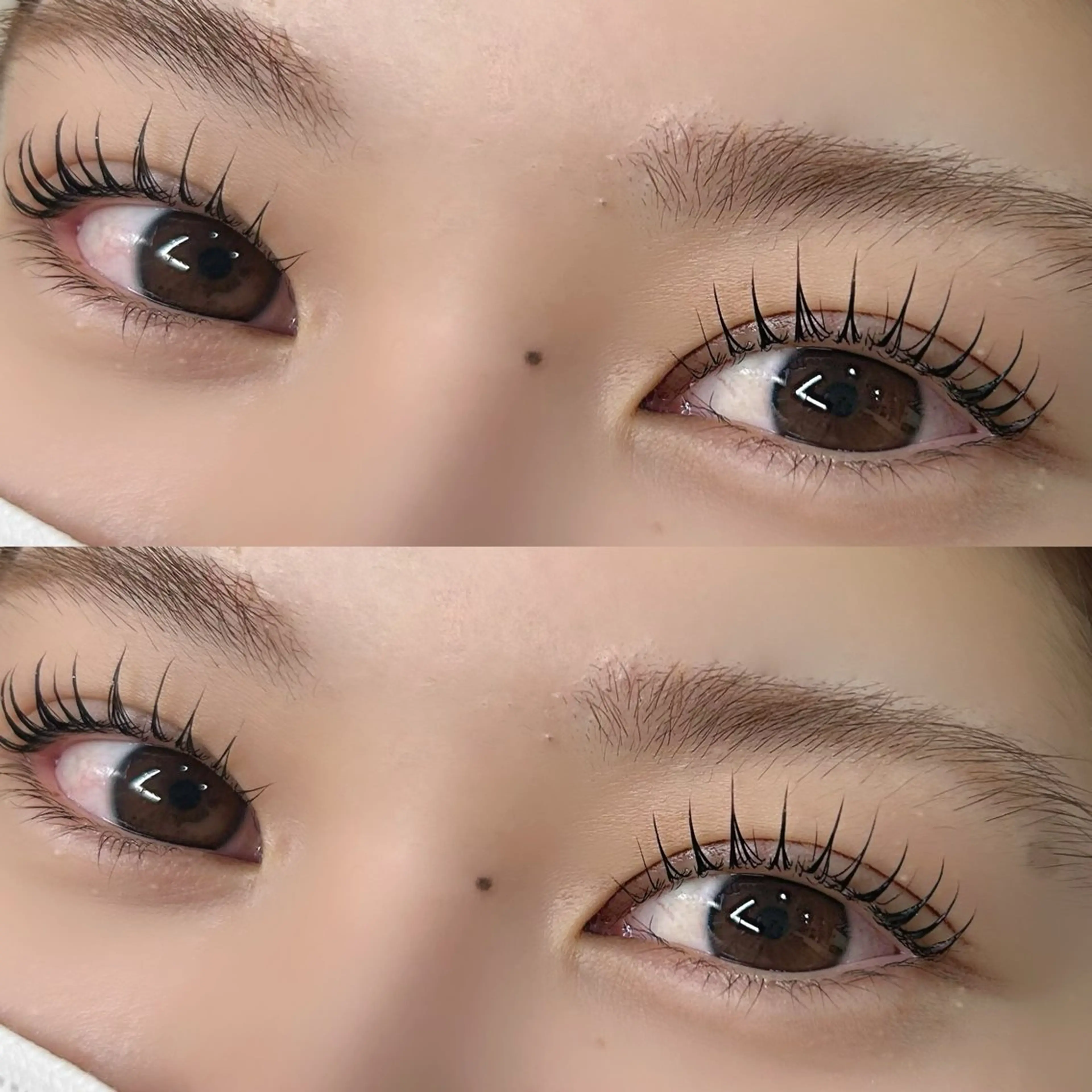 マツエク・マツパ マツパ Lucia 博多店［江里口］のマツエク・マツパデザイン