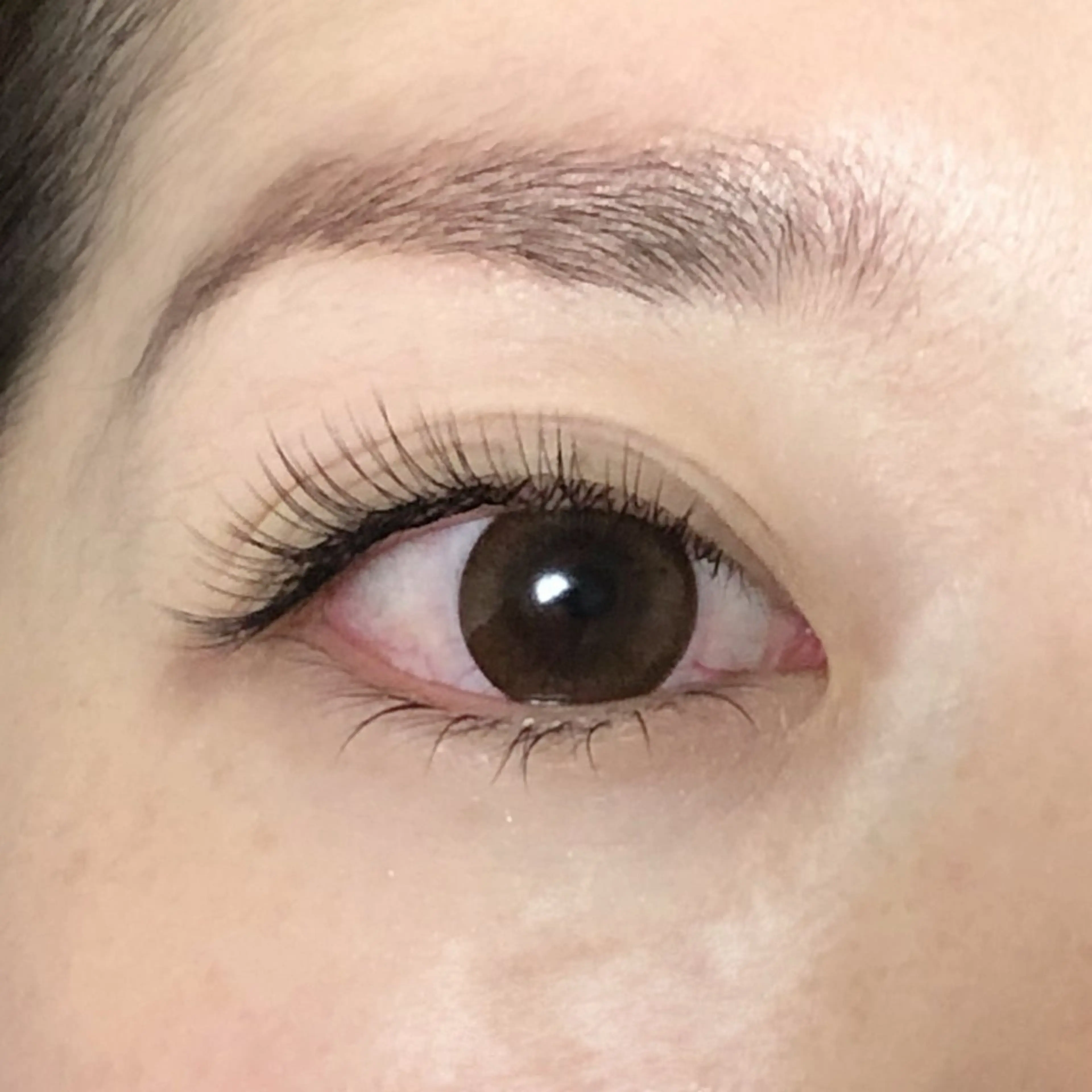 🍒ミニモ限定　撮影モデル🍒まつエク100本　目元の撮影可能な方📷　フラットラッシュの写真