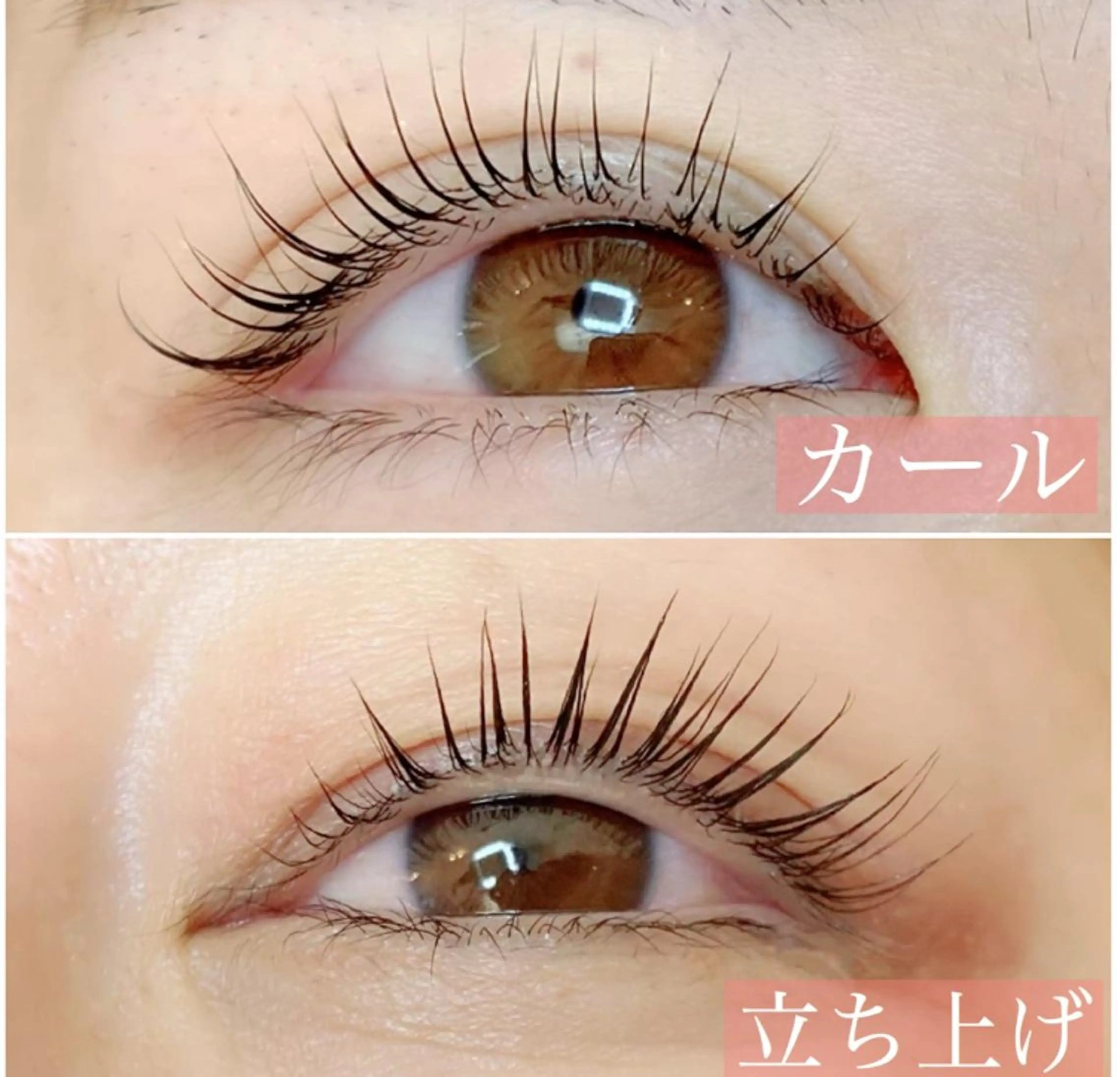 マツエク・マツパ M.TT salonのマツエク・マツパデザイン