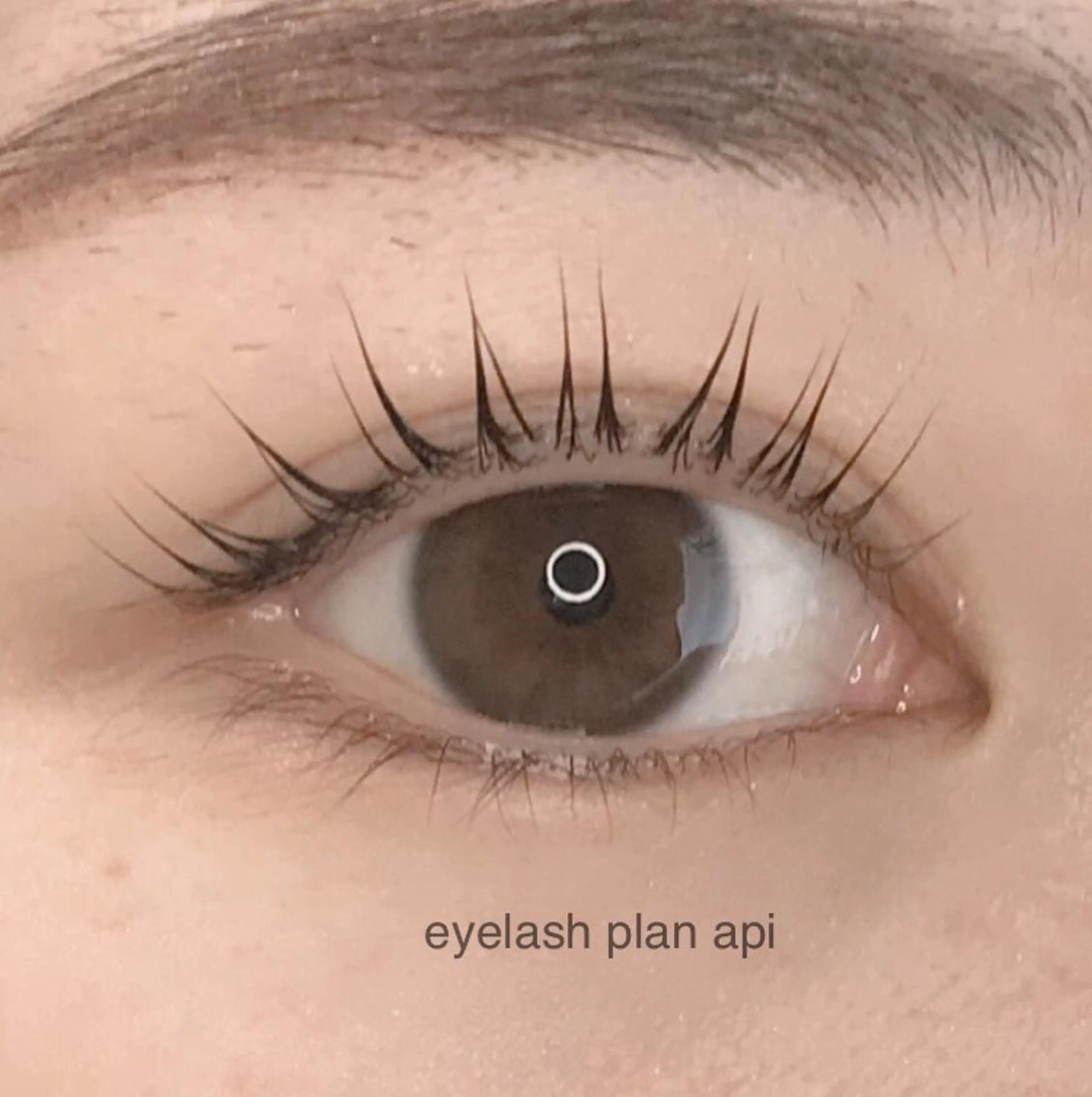 マツエク・マツパ 《eyelash ｉｉｔｅ》森のマツエク・マツパデザイン