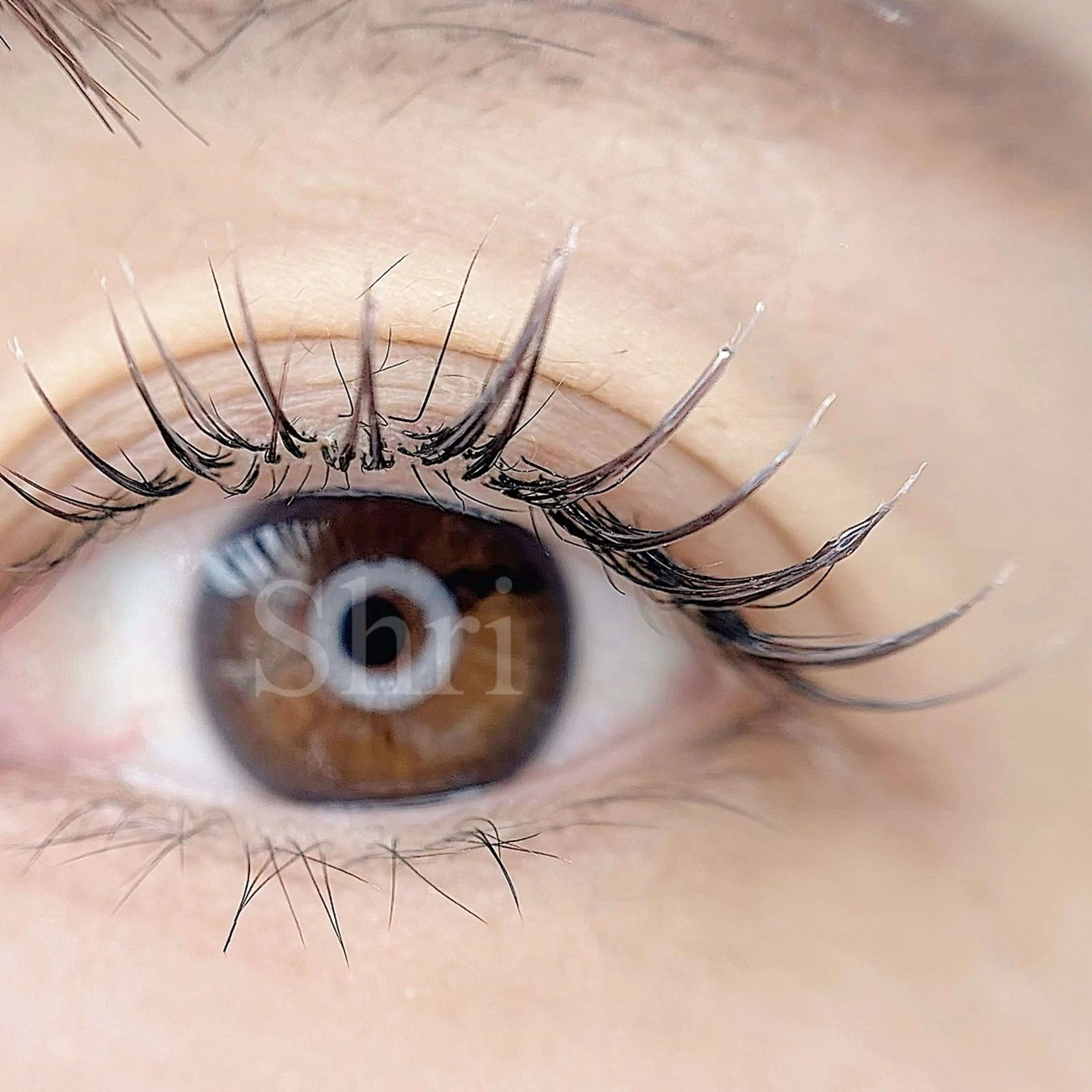 マツエク・マツパ salon Shriのエステ・リラクイメージ