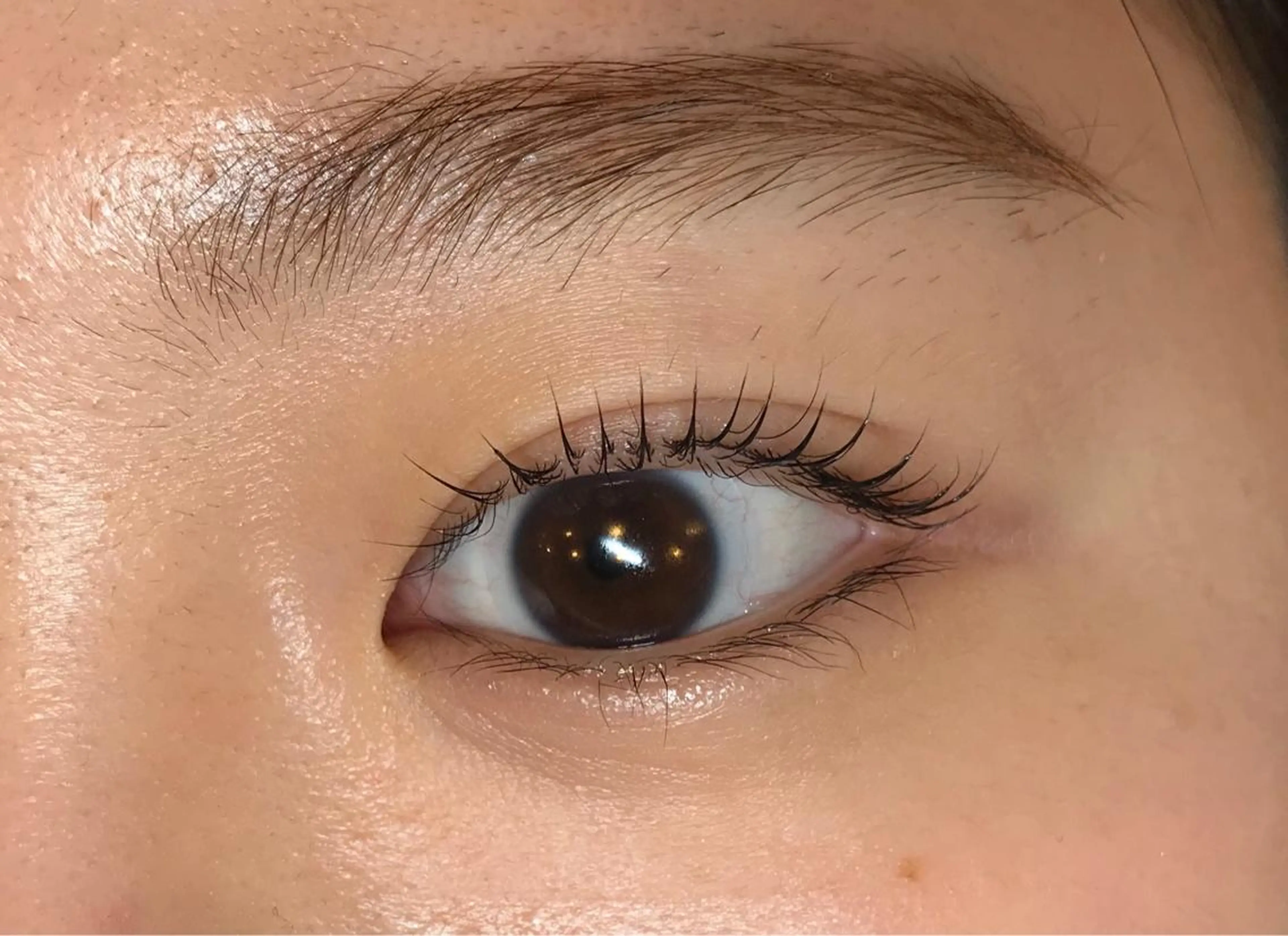 マツエク・マツパ まつげパーマ 一重×まつ毛パーマ NUEVO 新宿三丁目店の眉毛・アイブロウイメージ