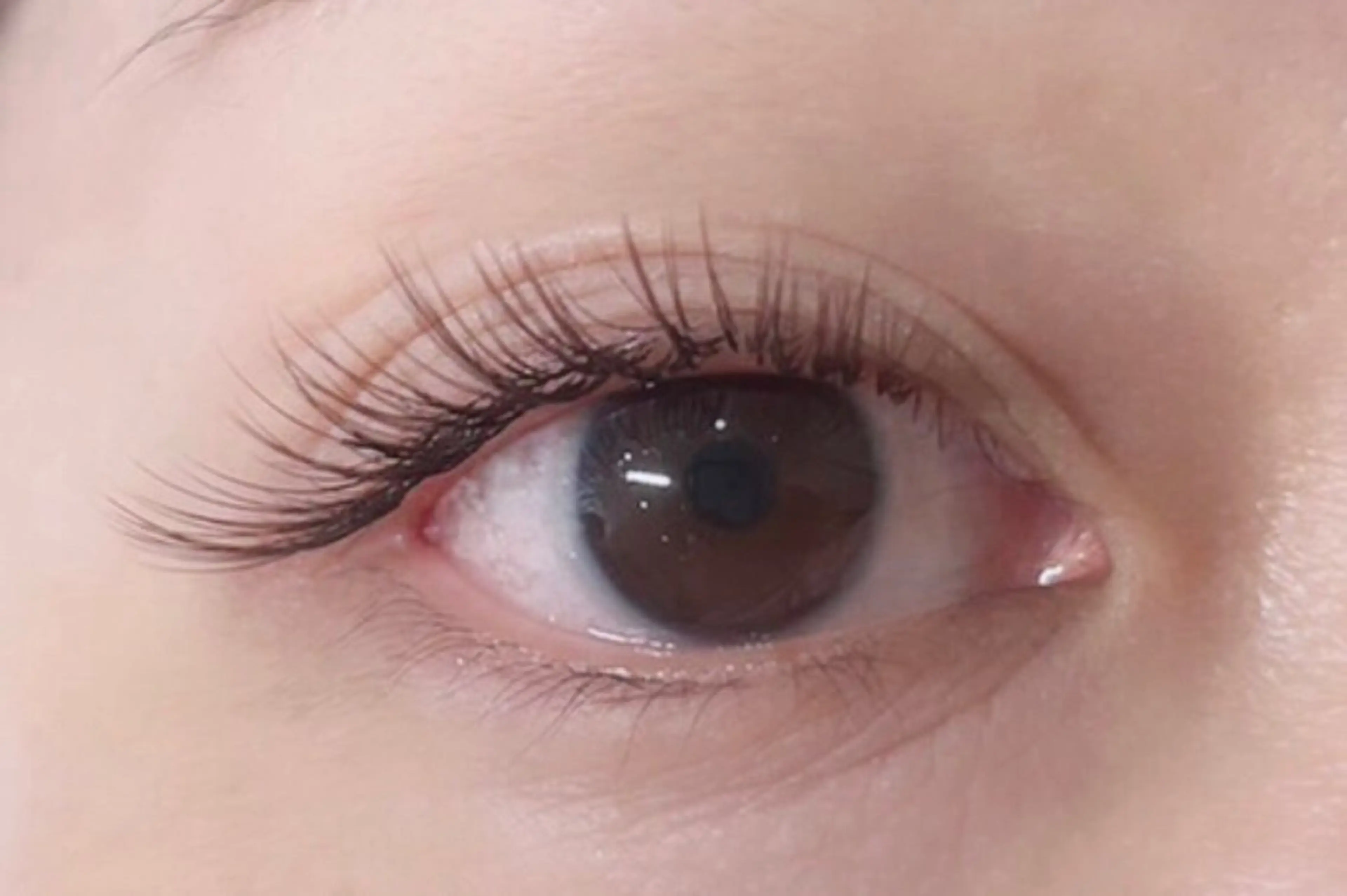 マツエク・マツパ カラーマツエク フラットラッシュ スイープジュニパー 岡崎店の眉毛・アイブロウイメージ