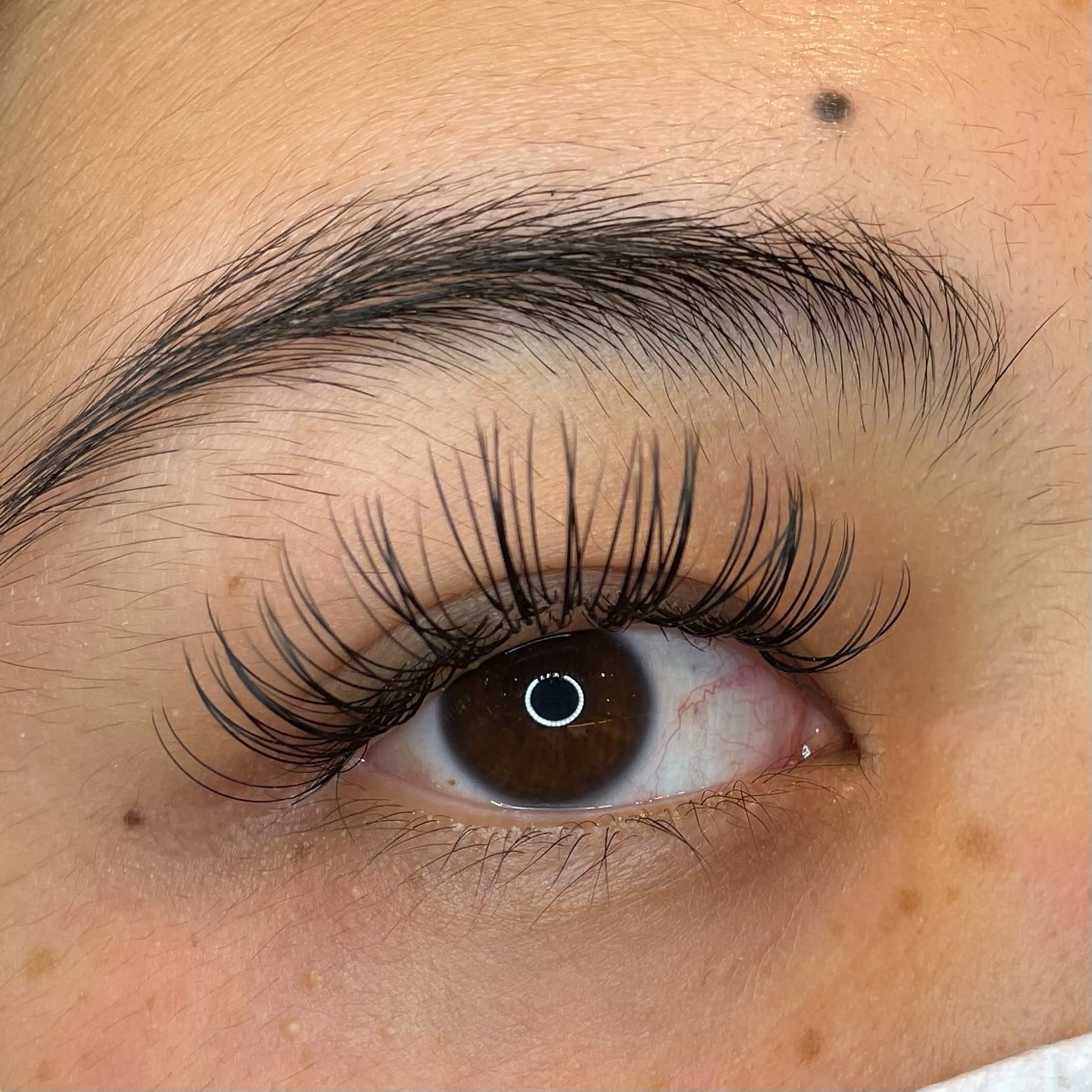 (2月限定)シングルフラットラッシュ 120本の写真