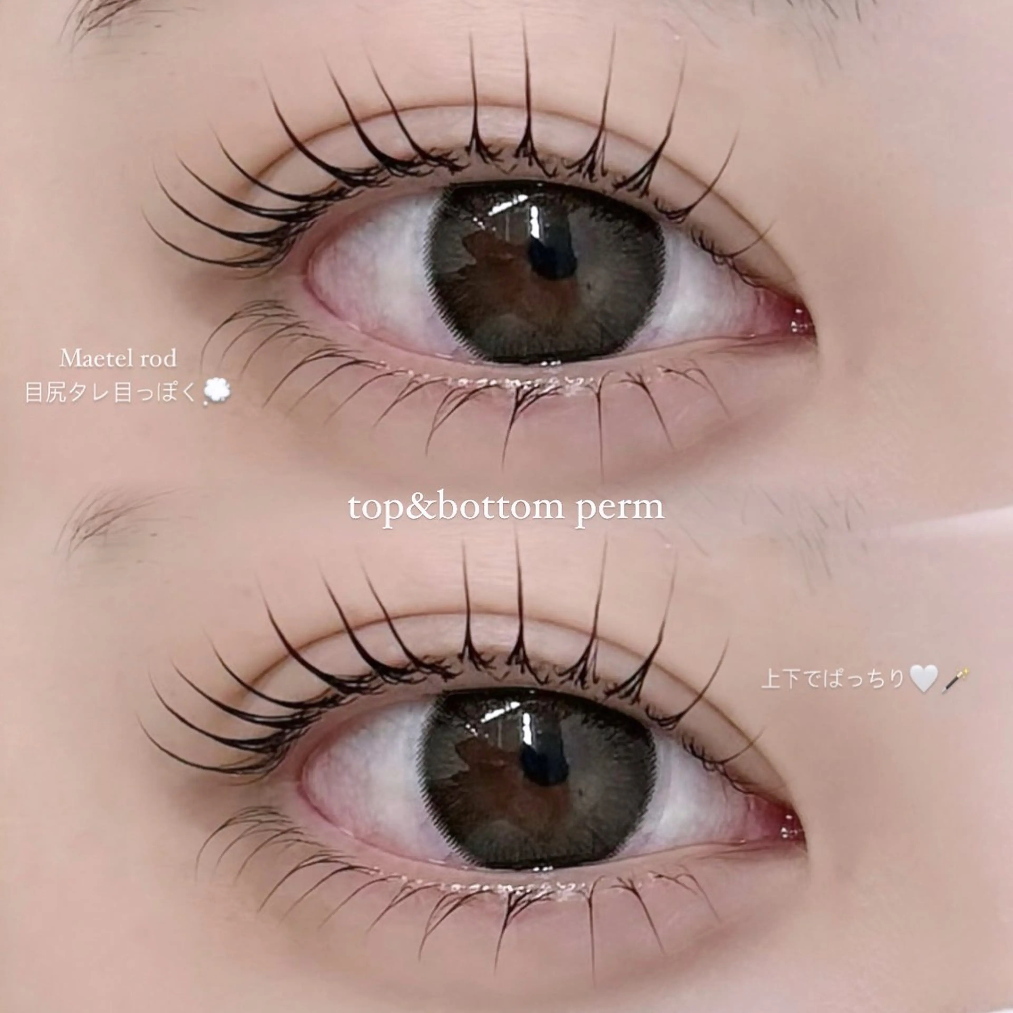 上下パーマの写真