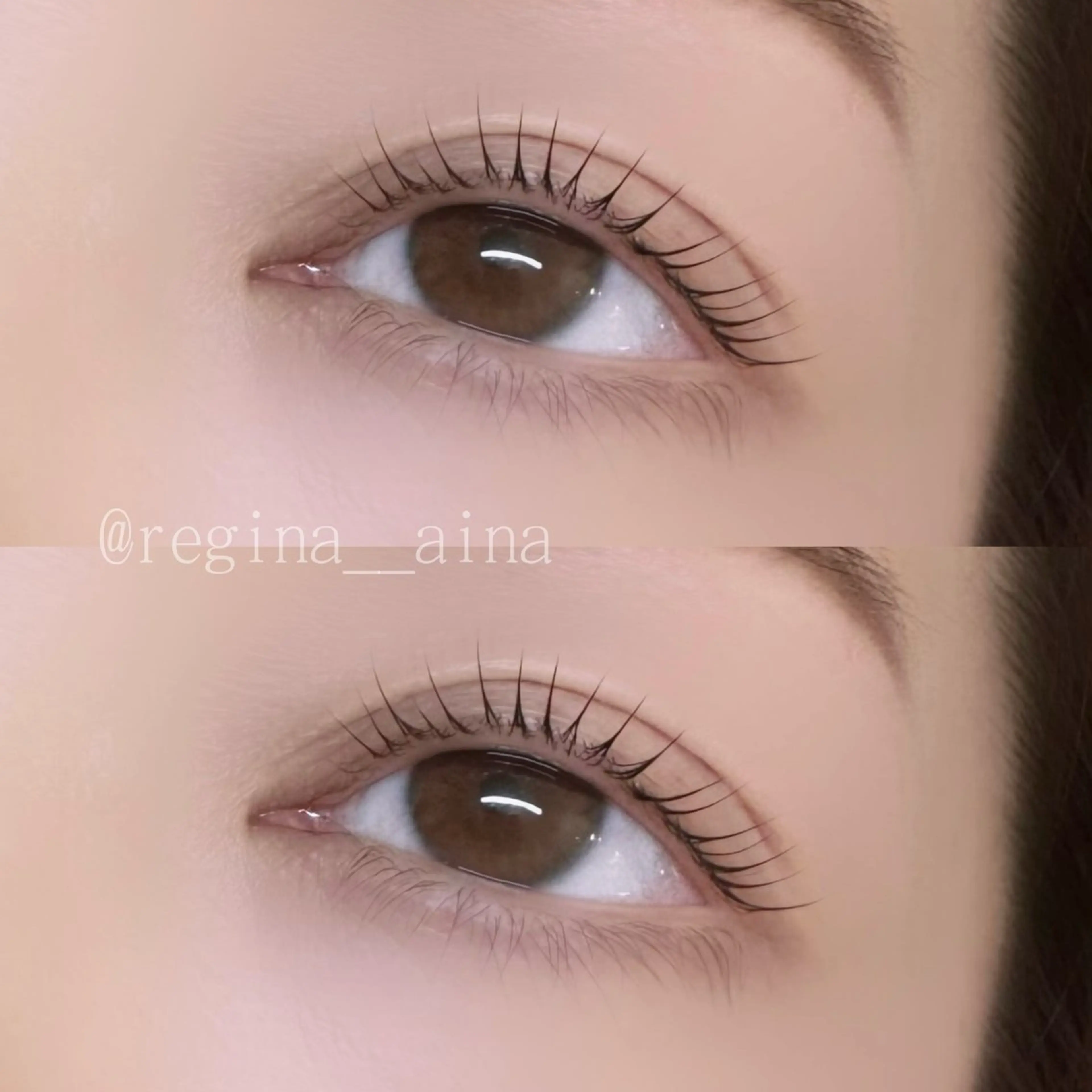 マツエク・マツパ 【REGINA】 Ainaのマツエク・マツパデザイン