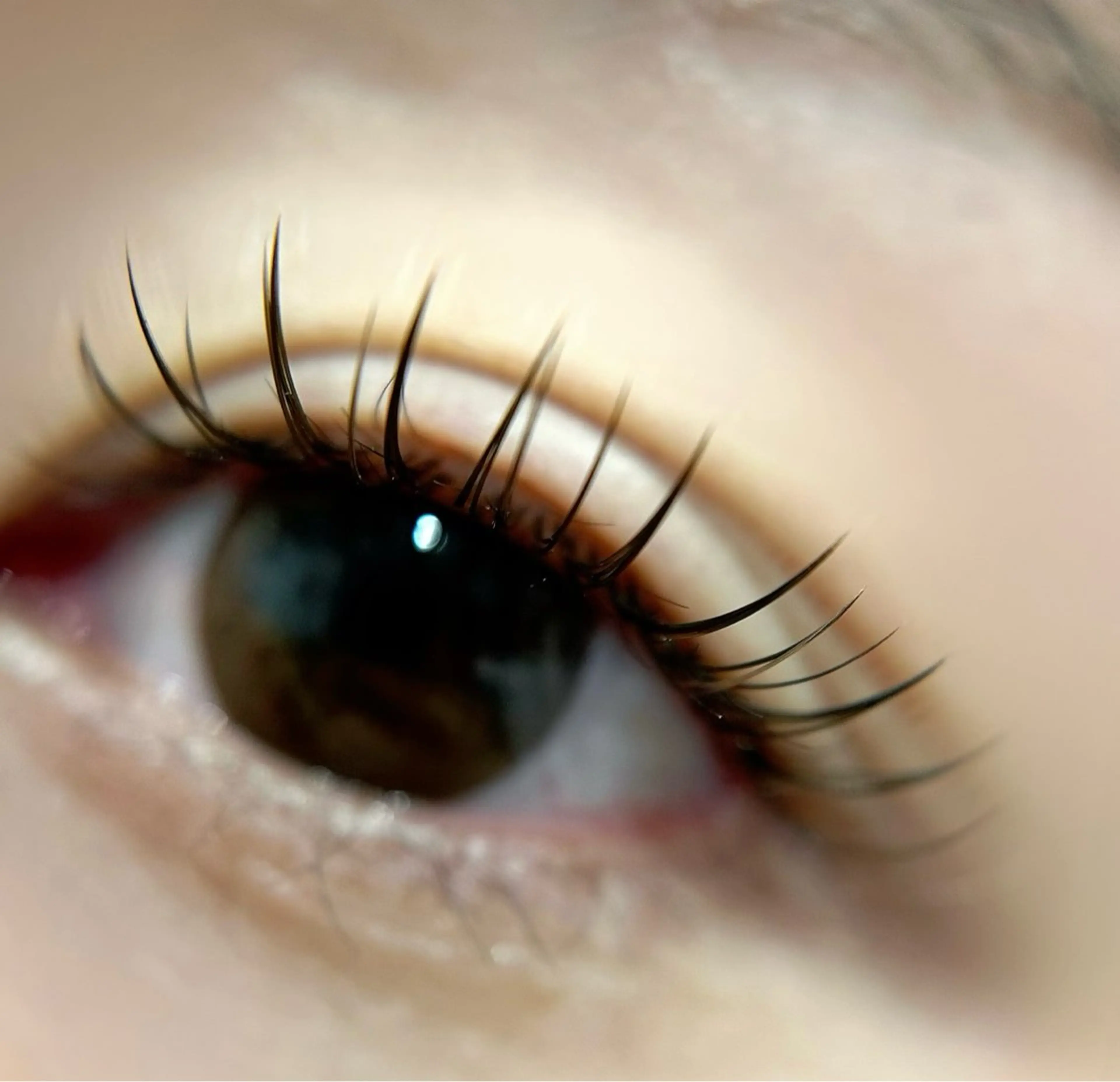 マツエク・マツパ マツエク 🫧OKUYAMA KOHARU 🫧のマツエク・マツパデザイン