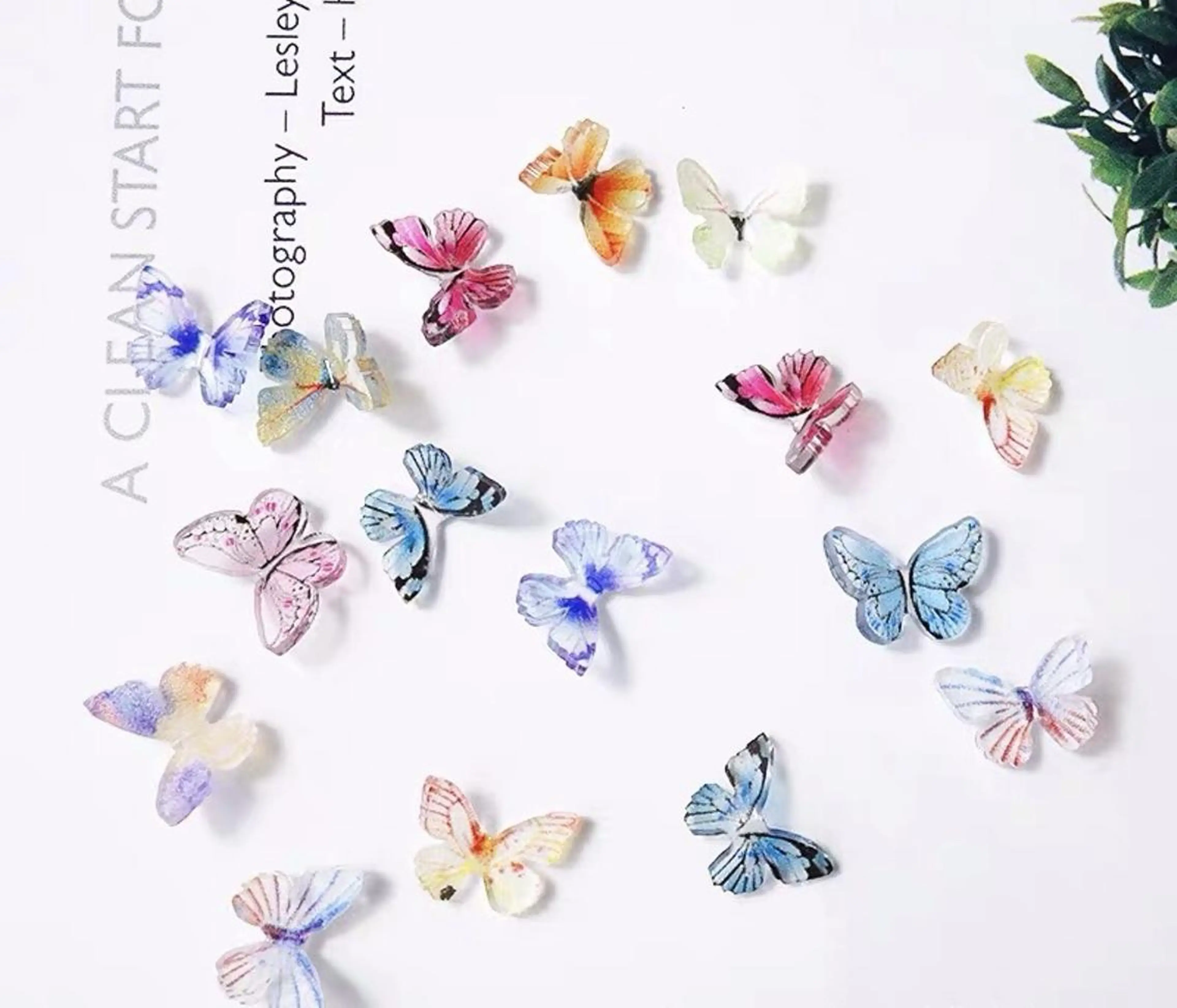 ネイル Cute beauty2のマツエク・マツパデザイン