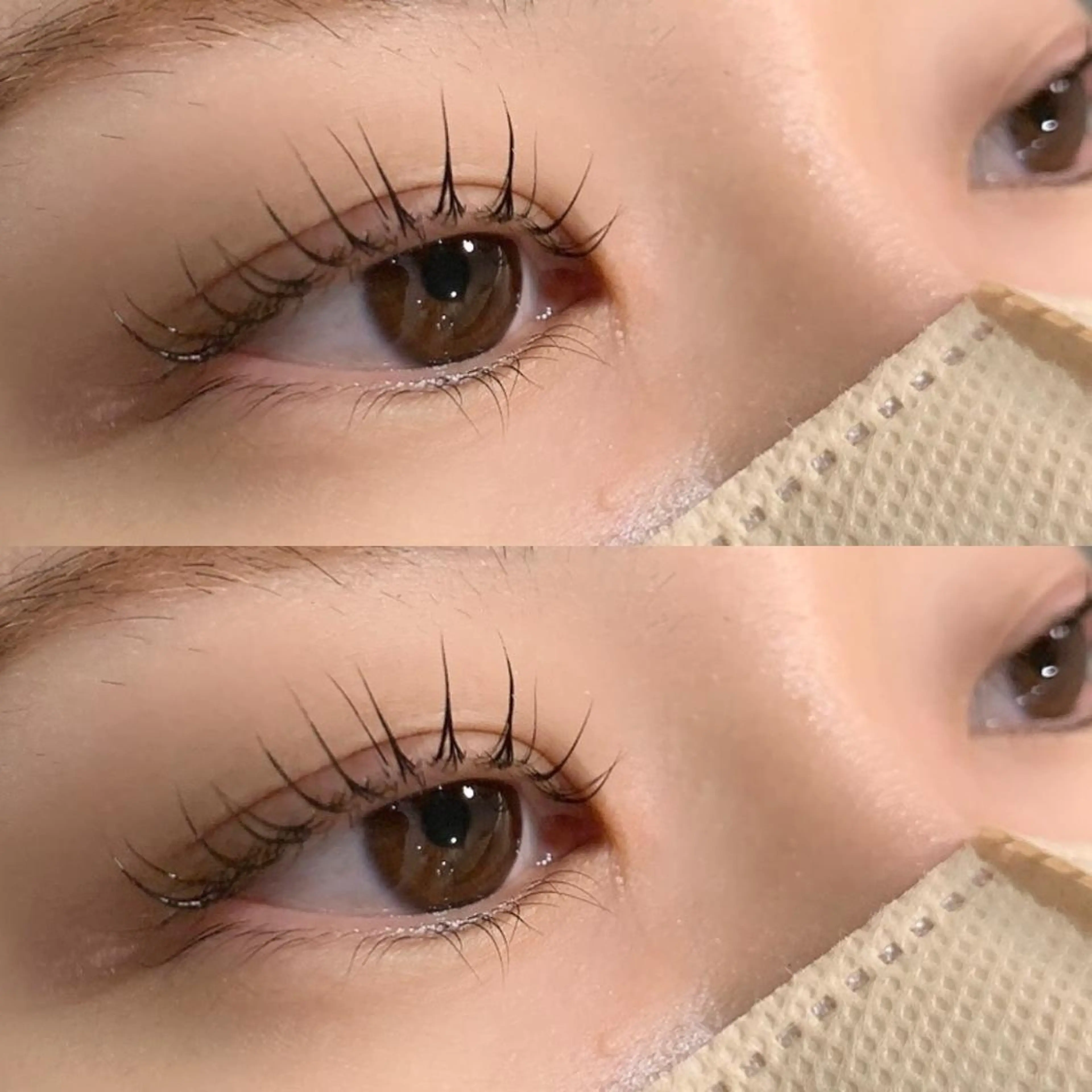 ［🌸4月限定🌸］韓国風まつ毛パーマ上下SET🧸🎀＋束感＆保湿コーティング付き🪄✨の写真