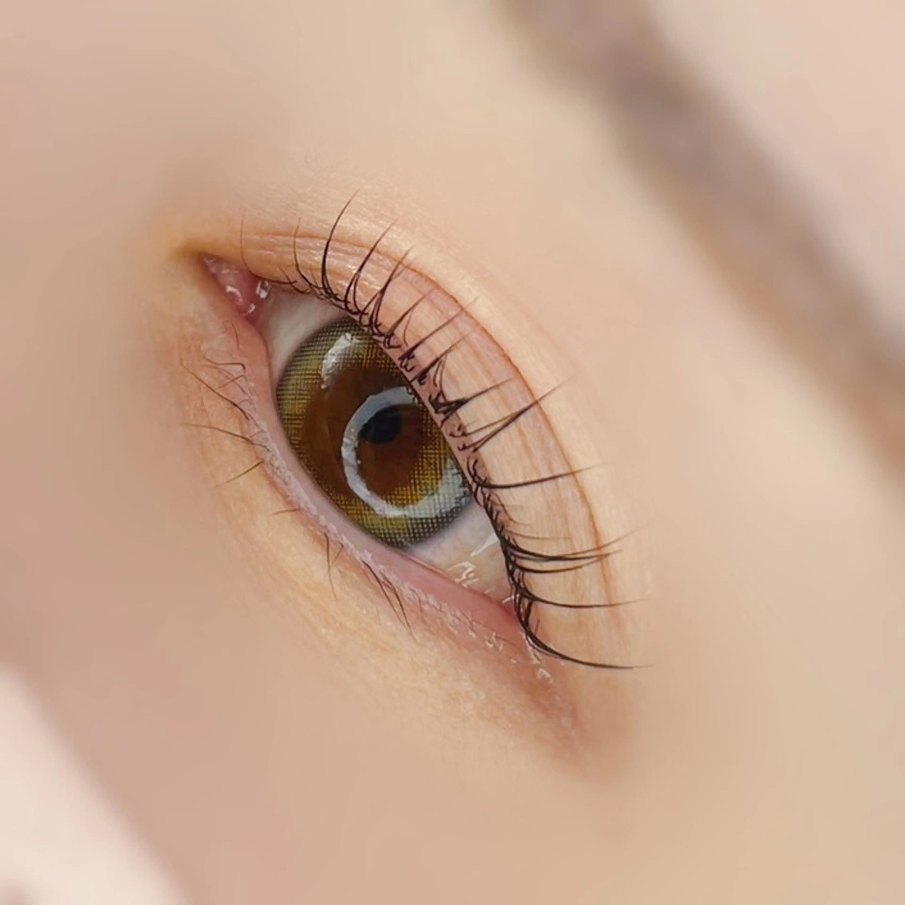 マツエク・マツパ 平山 ゆりのマツエク・マツパデザイン