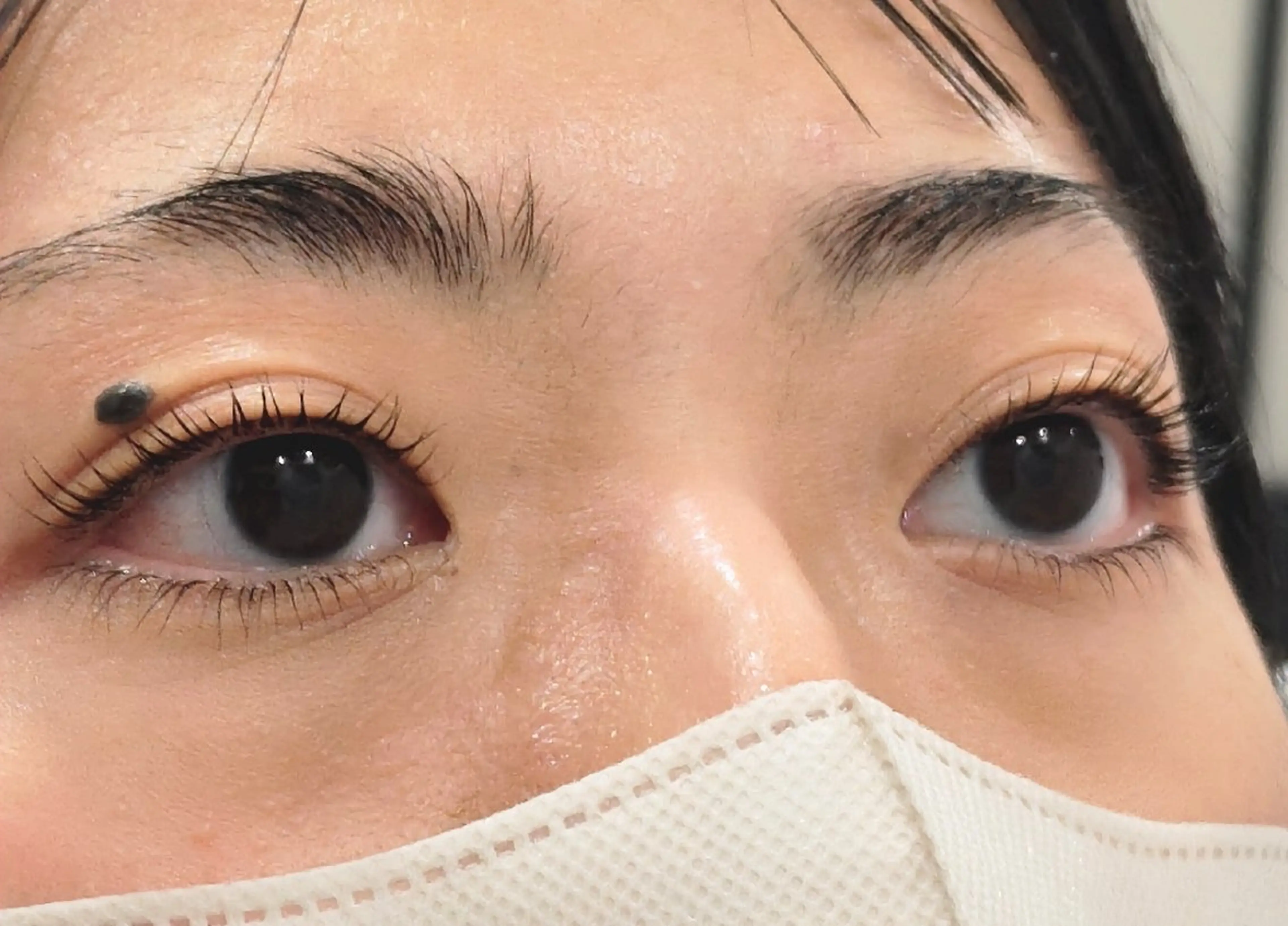 何度でも◎ラッシュリフト上下 ¥8500の写真