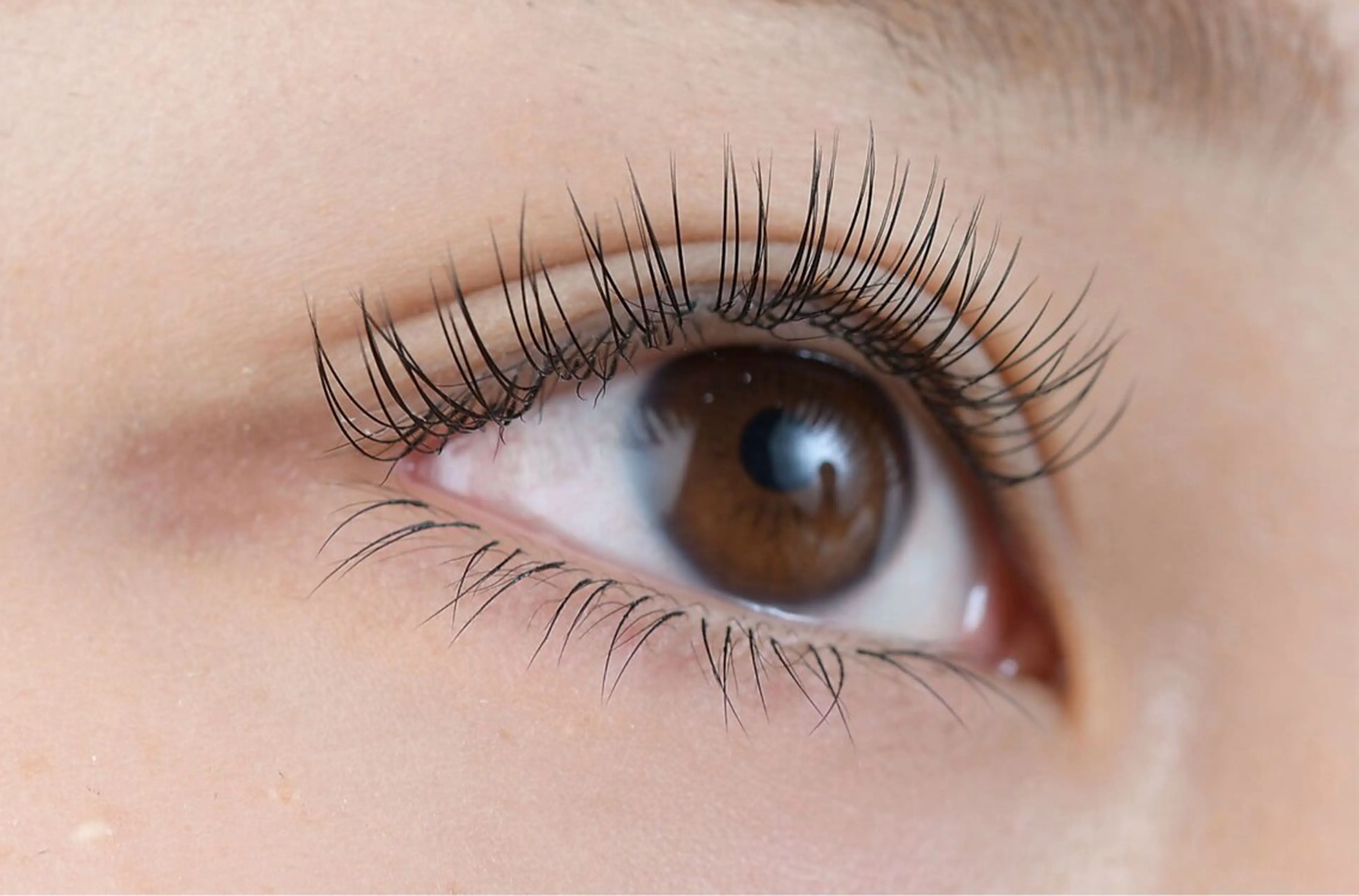 【ミニモ限定】下まつげエクステ30本❕補足説明ご一読くださいの写真