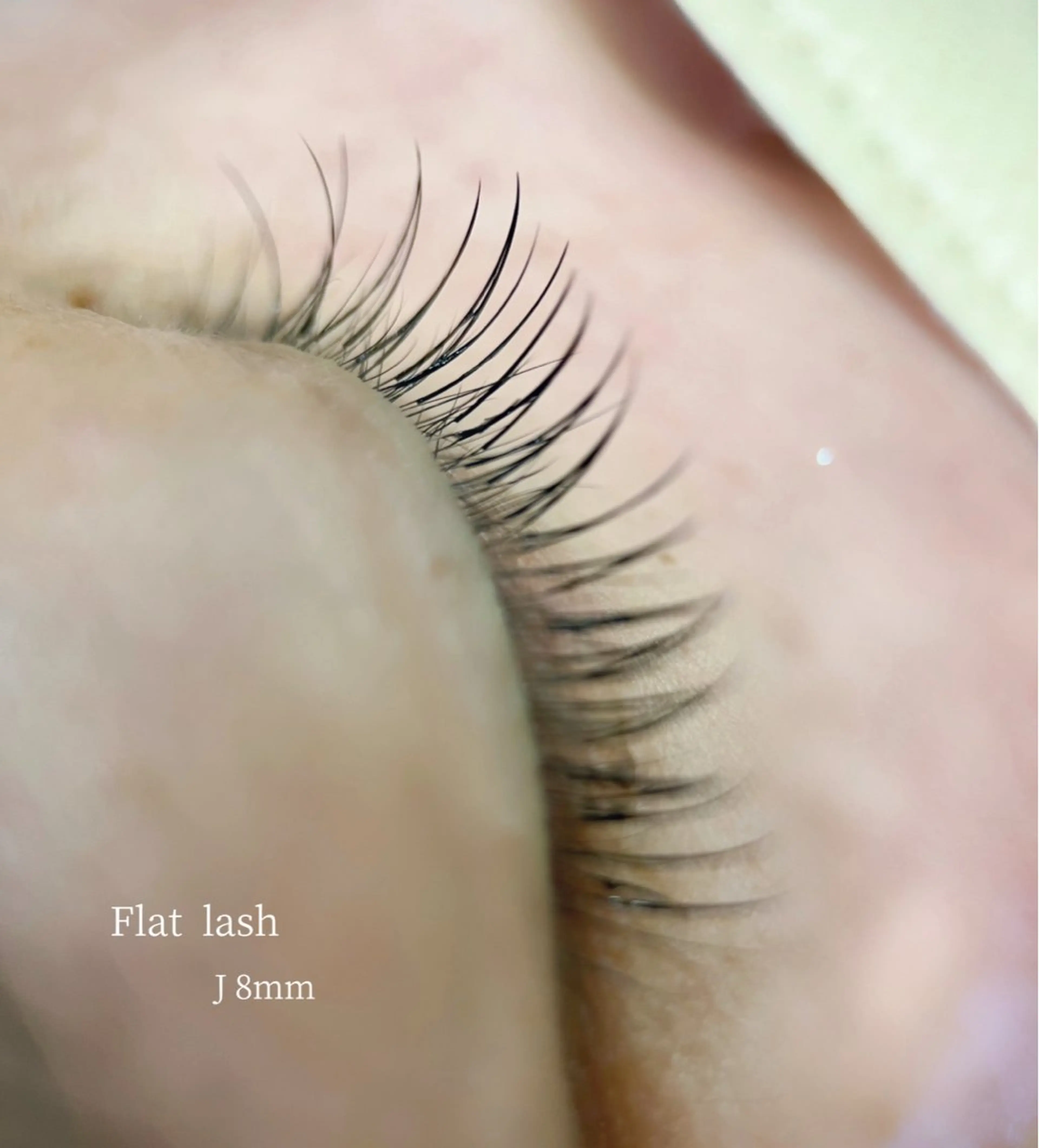 フラットラッシュ 100本の写真