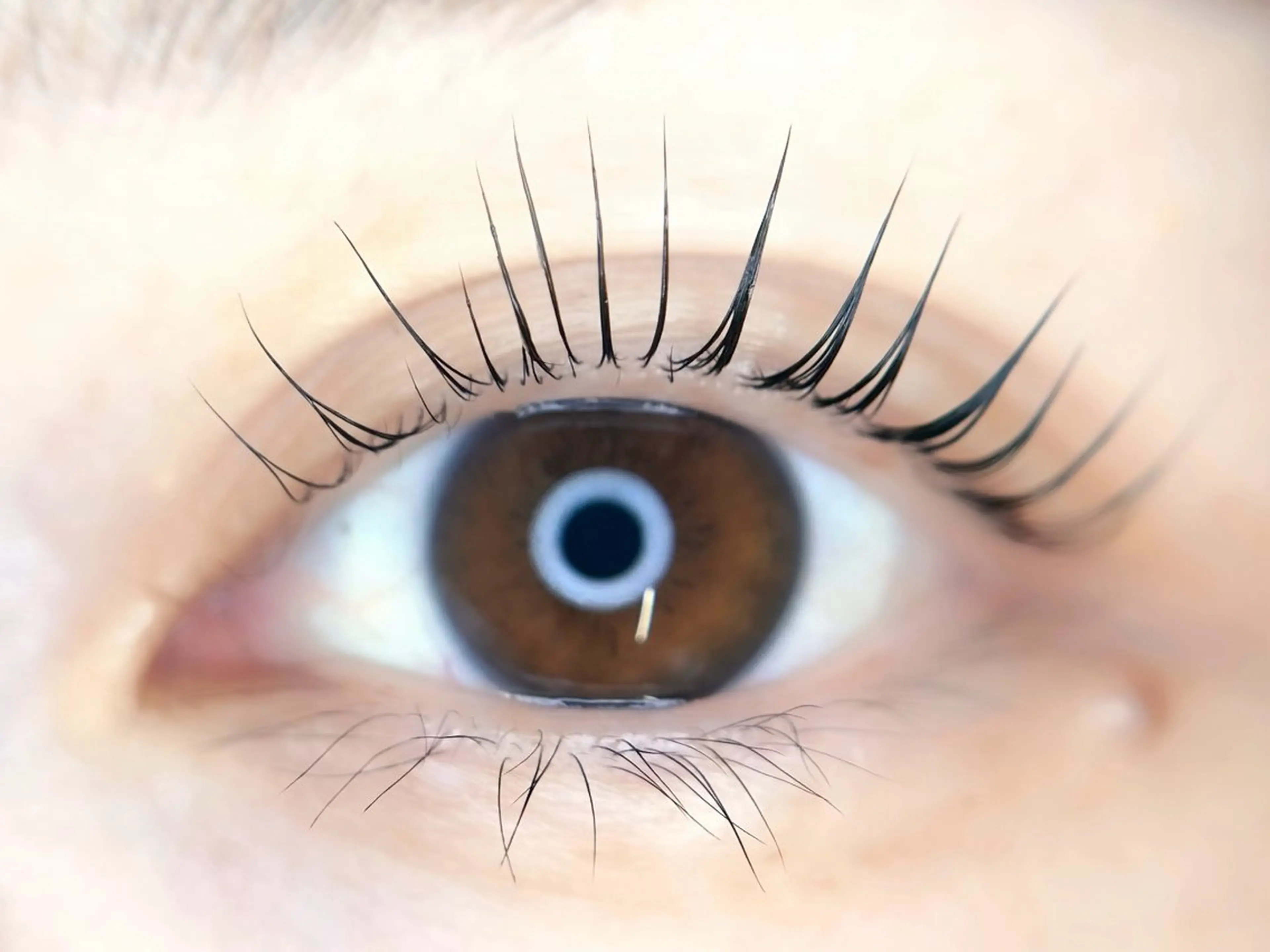 マツエク・マツパ マツパ ファイブ ビューティクリニックのマツエク・マツパデザイン