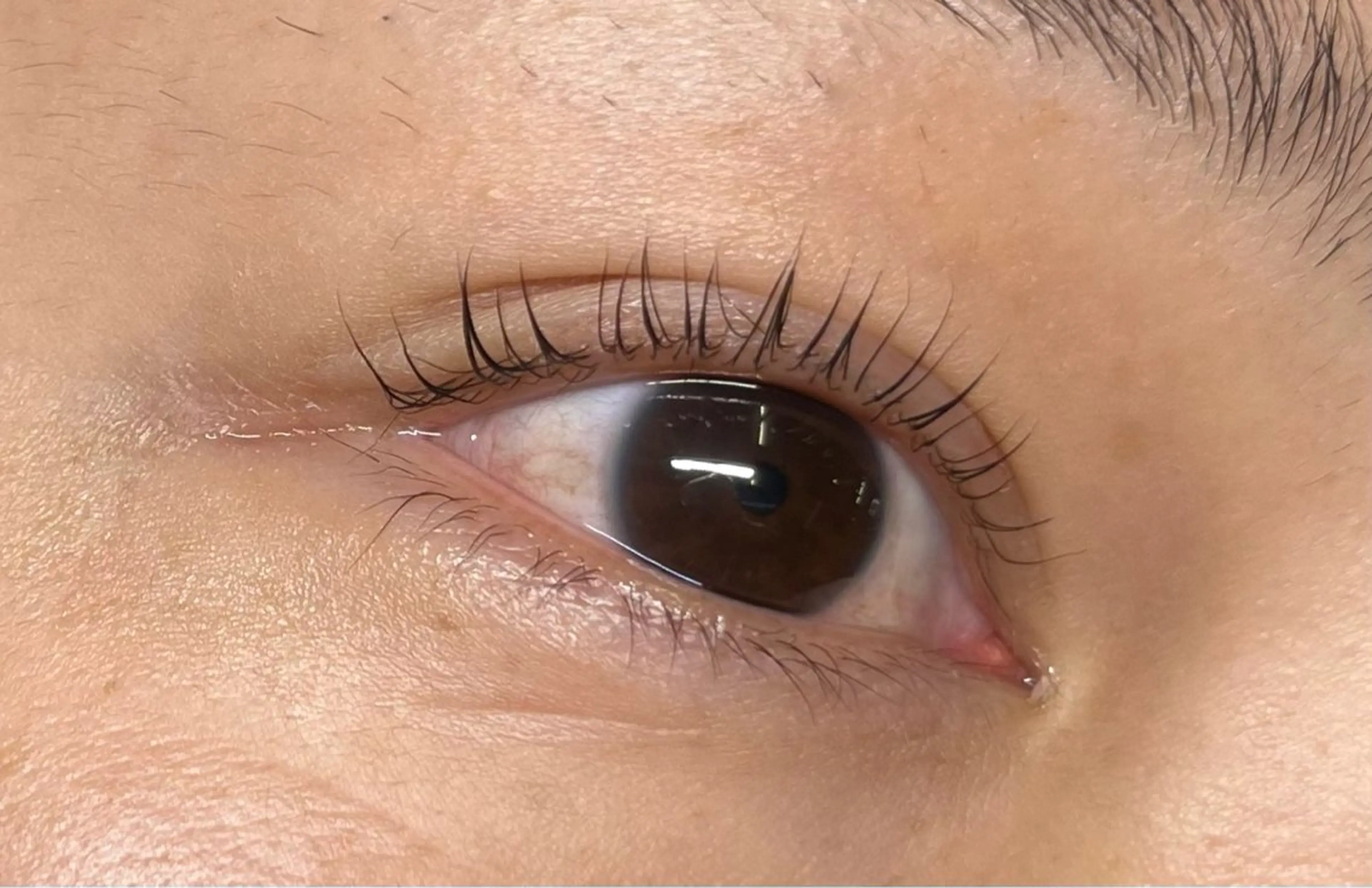 マツエク・マツパ EPIL risaのマツエク・マツパデザイン