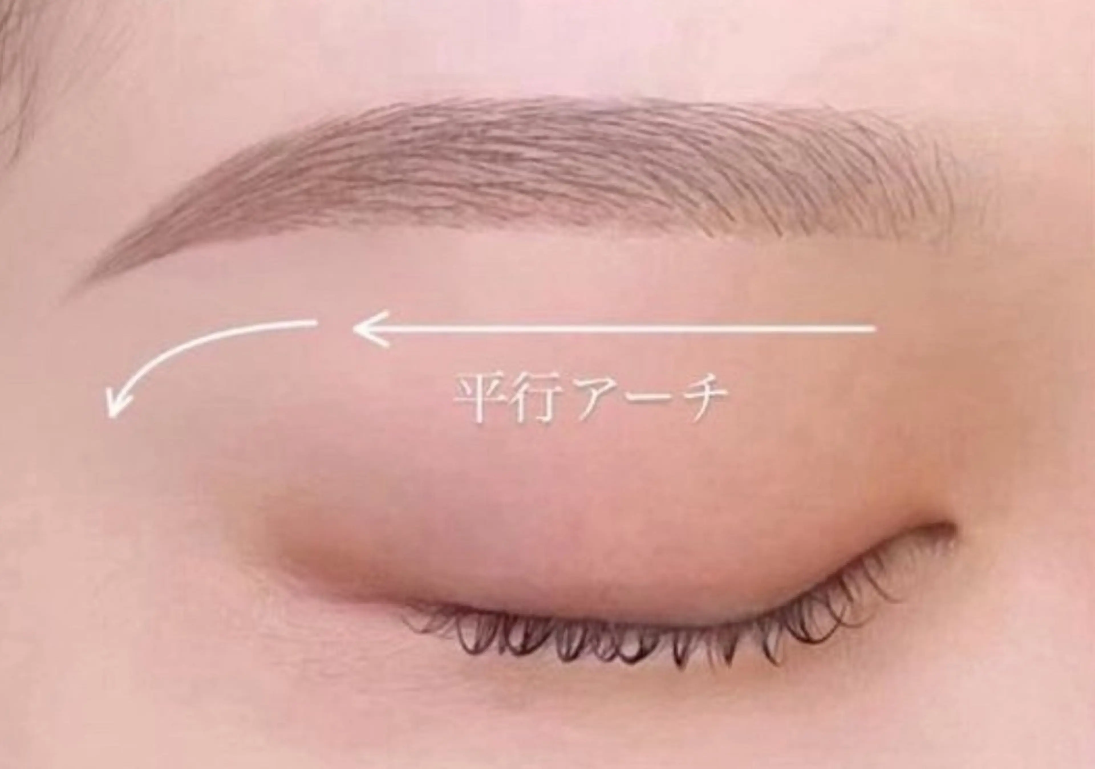 アイブロウ Violet Essenceの眉毛・アイブロウイメージ