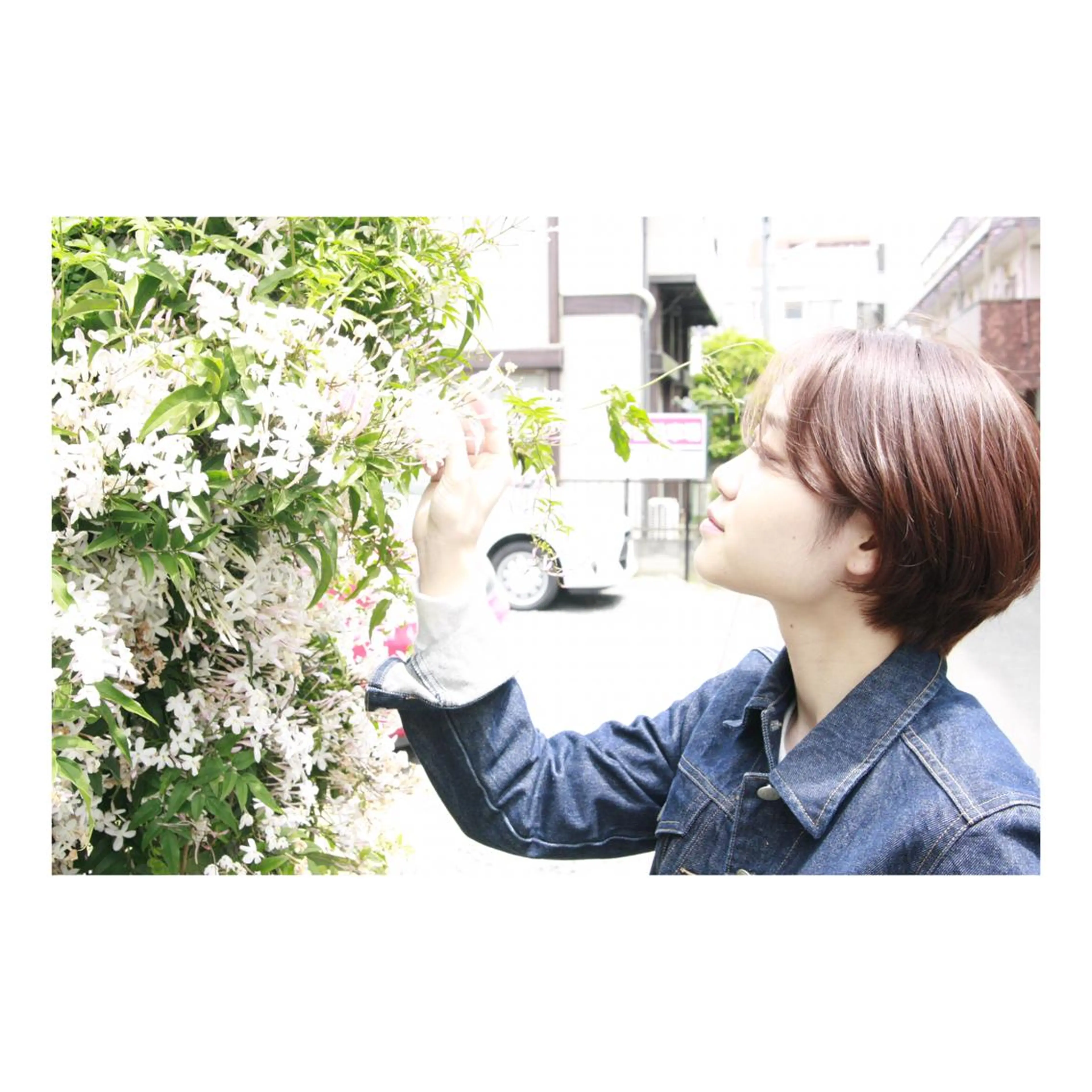 ショート canvas. 今泉具視のその他イメージ