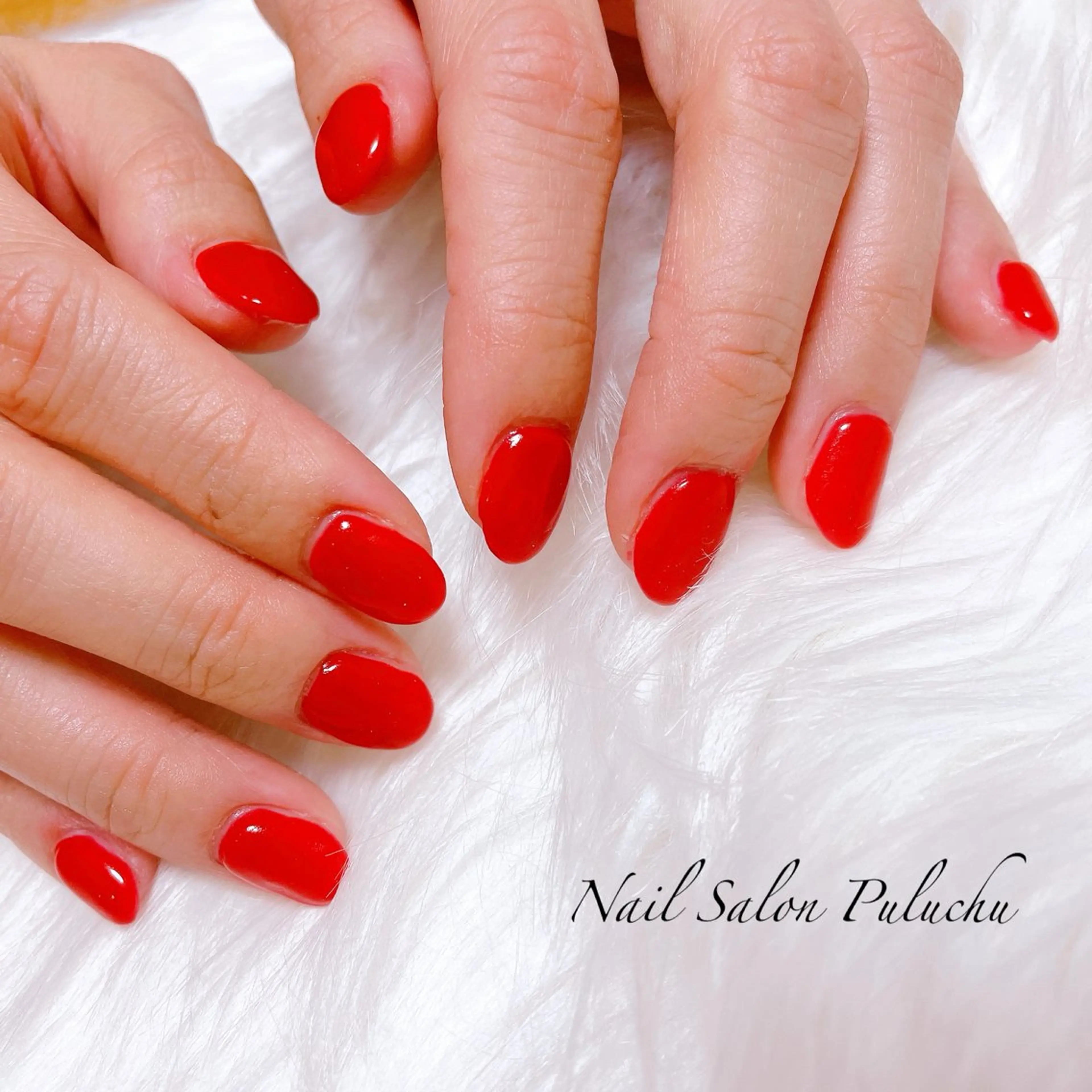 他店オフありワンカラーの写真